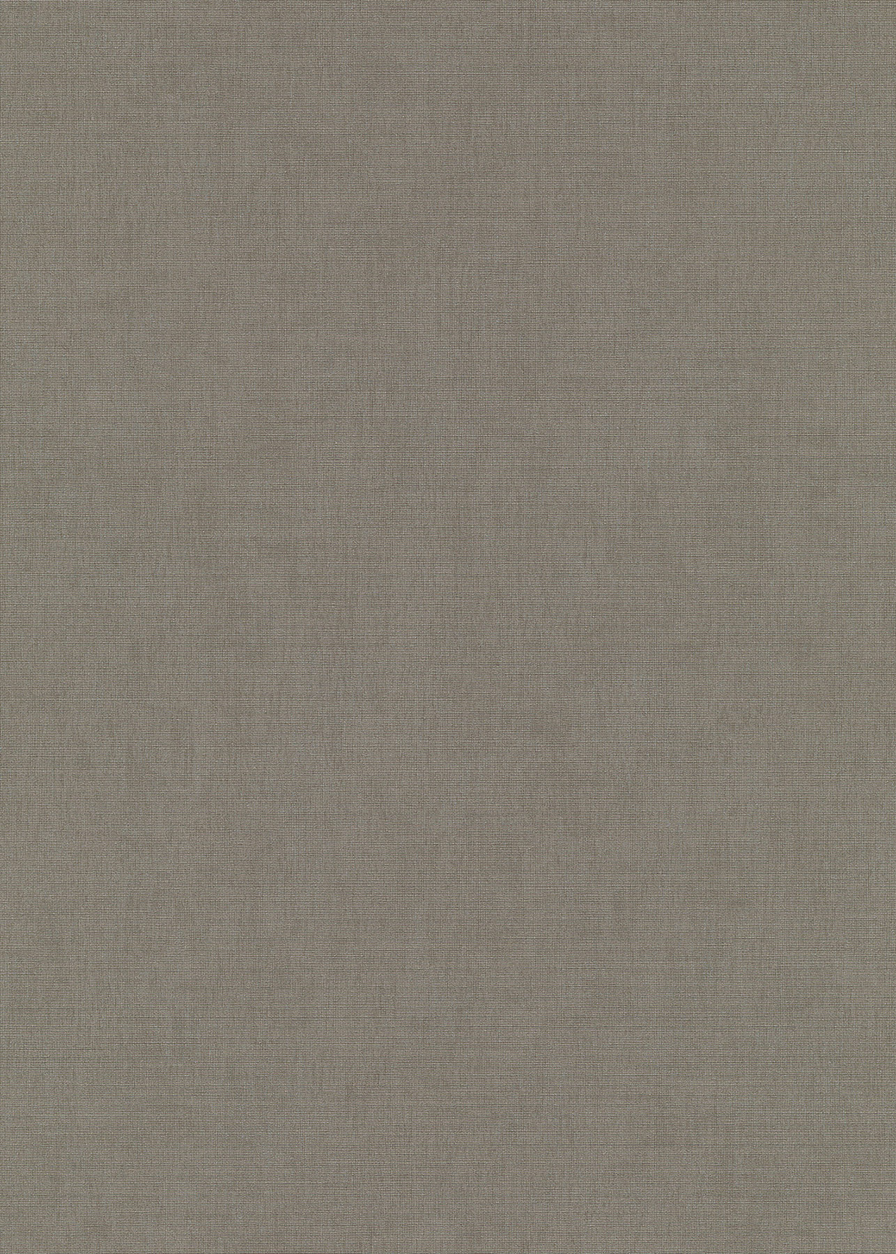 Erismann Vliestapete Aurora Unitapete 1053934