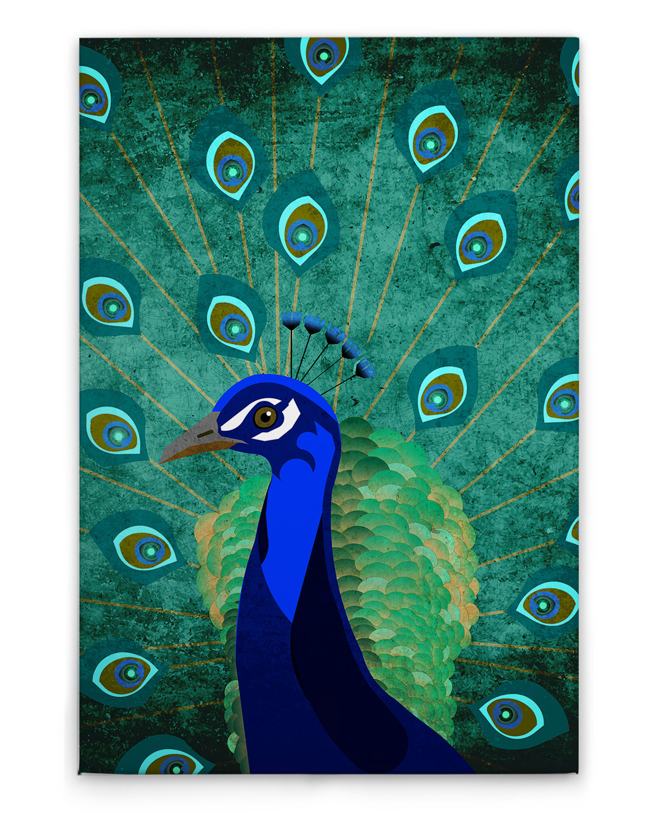 AS Leinwandbild Peacock DD131881