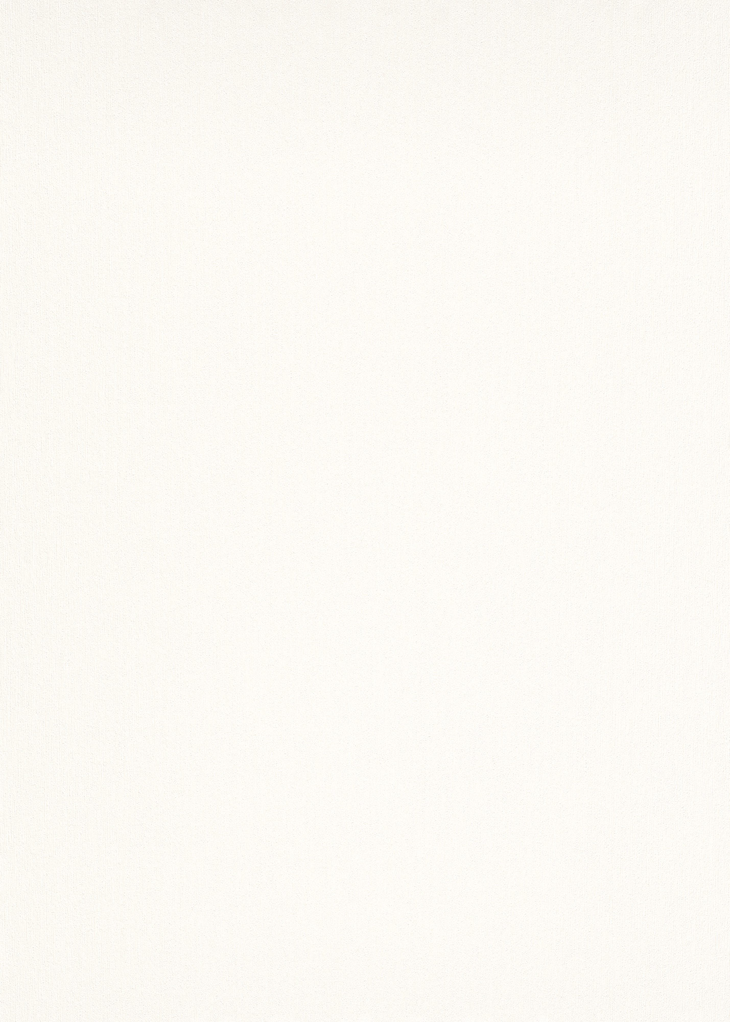 Erismann Vliestapete Elle 2 1017114