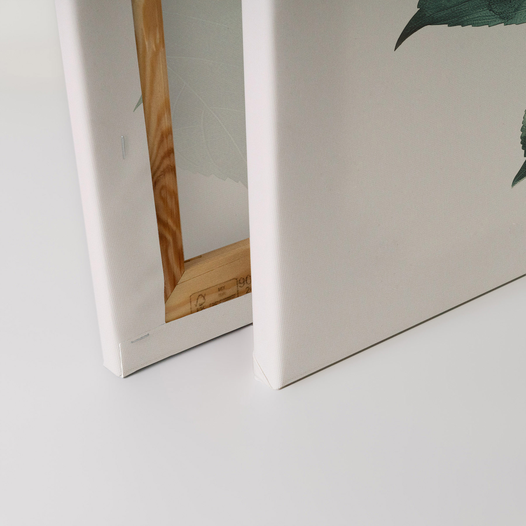 AS Leinwandbild Hortensie Blanc DD132922