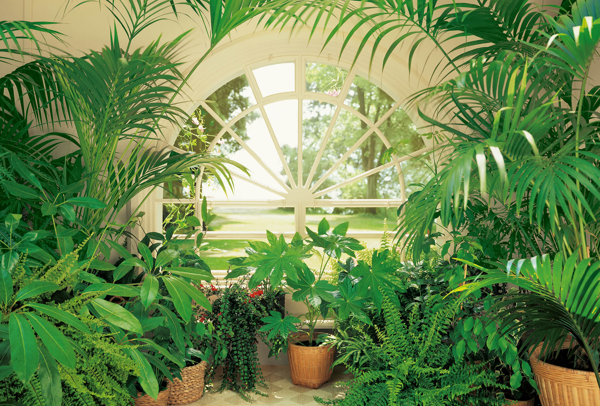 AS Fototapete Designwalls 2.0 Wintergarden DD119003 AS Fototapete Designwalls 2.0 Wintergarden DD119003