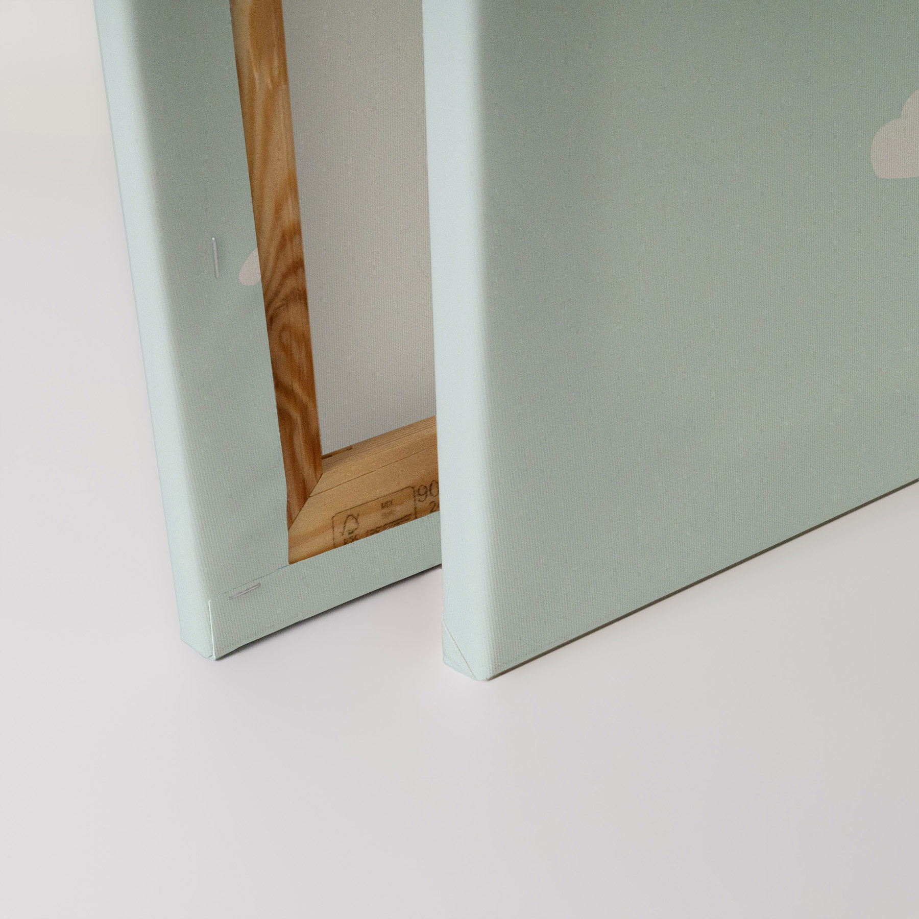 AS Leinwandbild Animal Balloon 1 DD132525