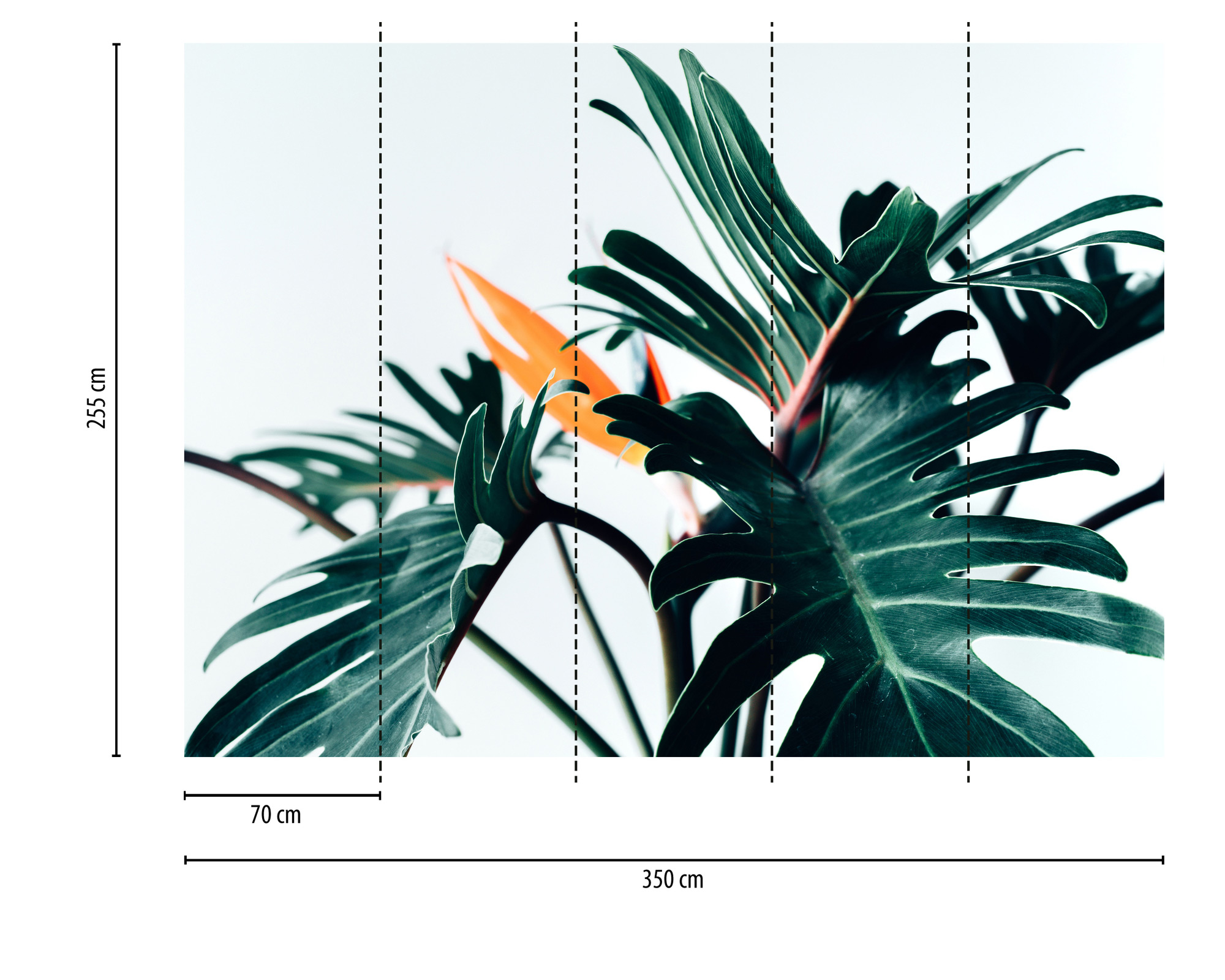 AS Fototapete Designwalls 2 Natur Pflanzen DD123514
