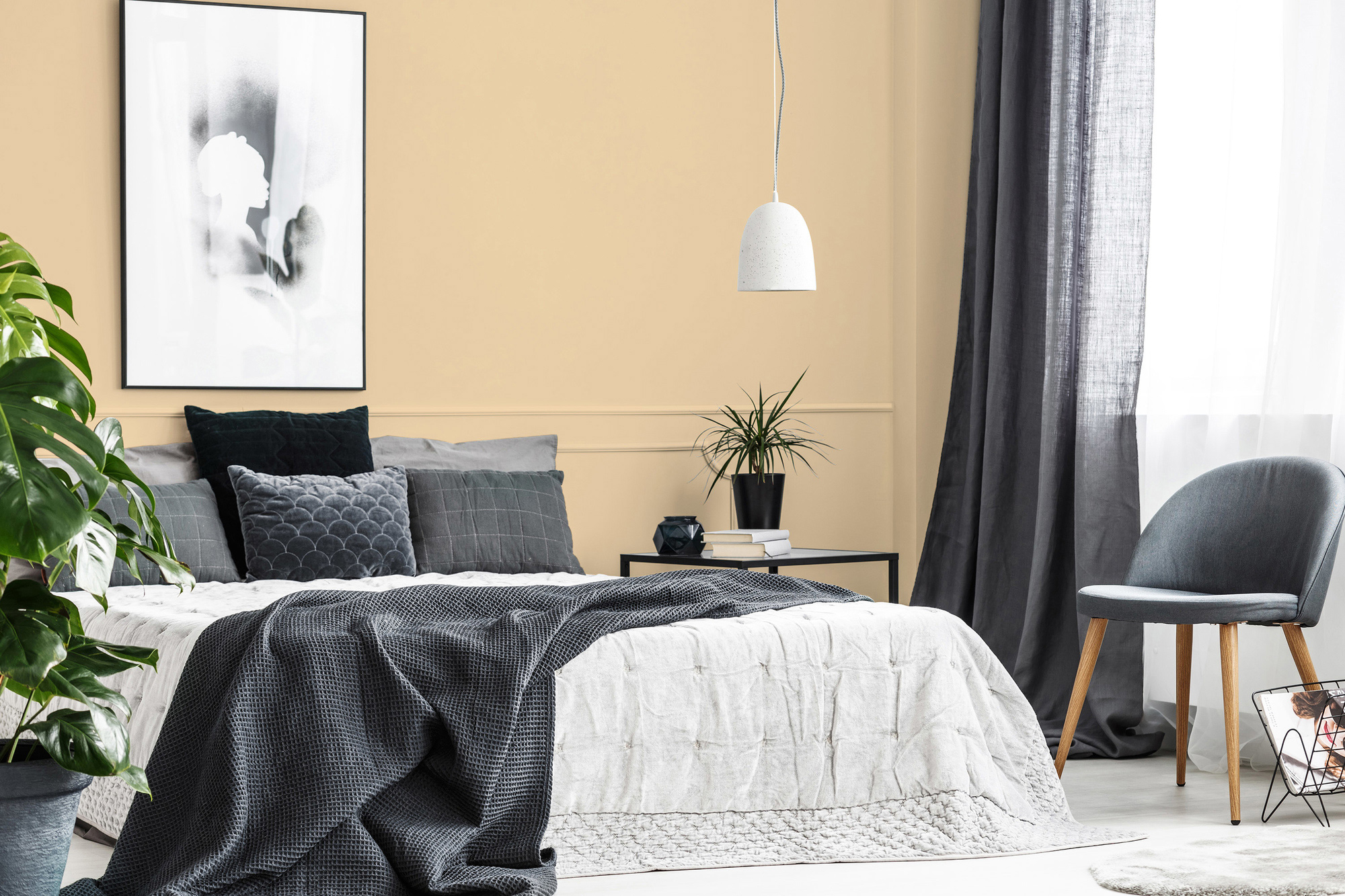 AS Premium Innenwandfarbe Puro c8009 smooth saffron 1 L