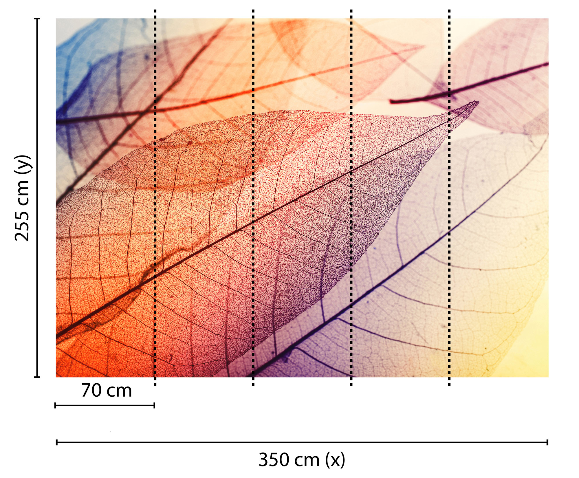 AS Fototapete Designwalls Limpid Leaf Blätter DD118586