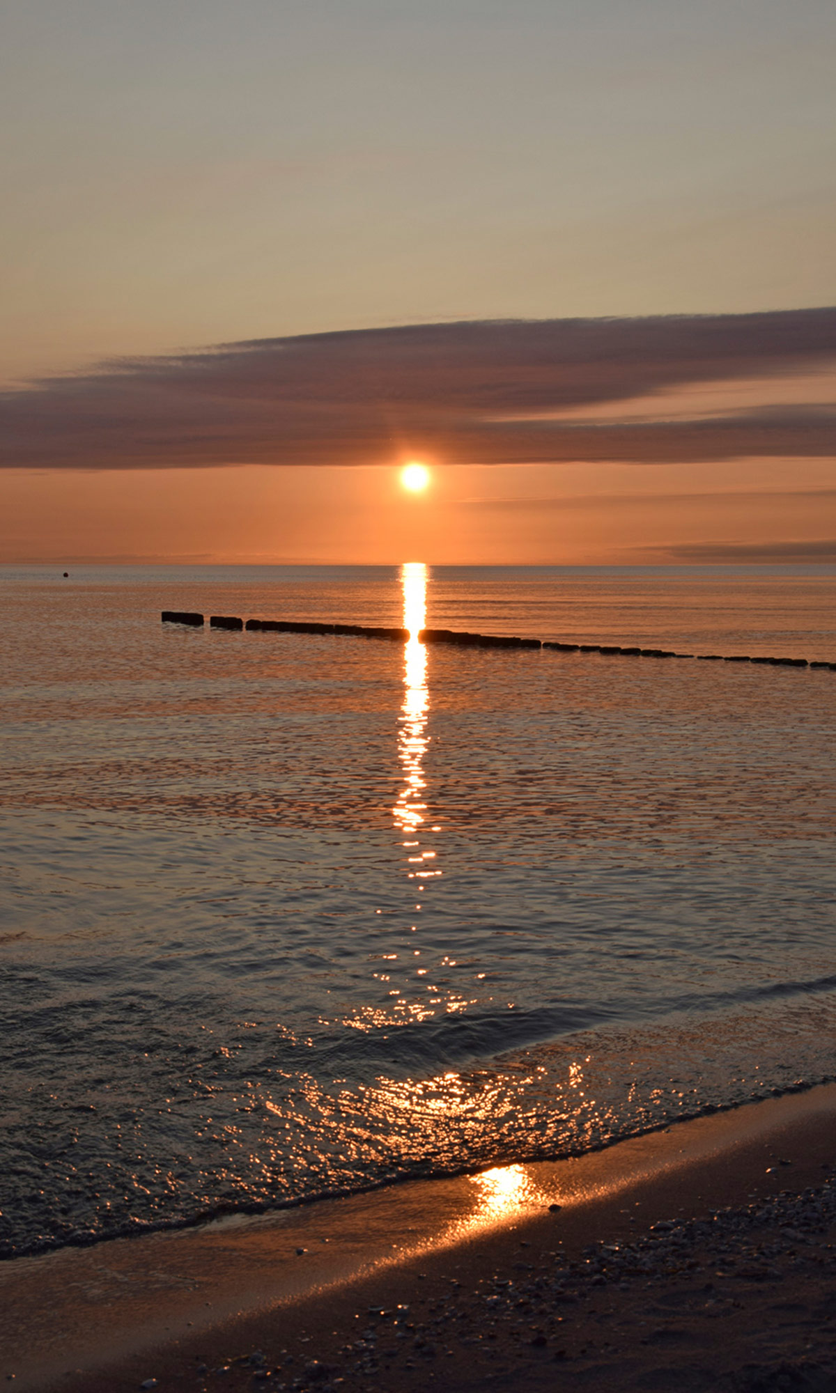 Rasch Fototapete Magic Walls Abendrot 364682