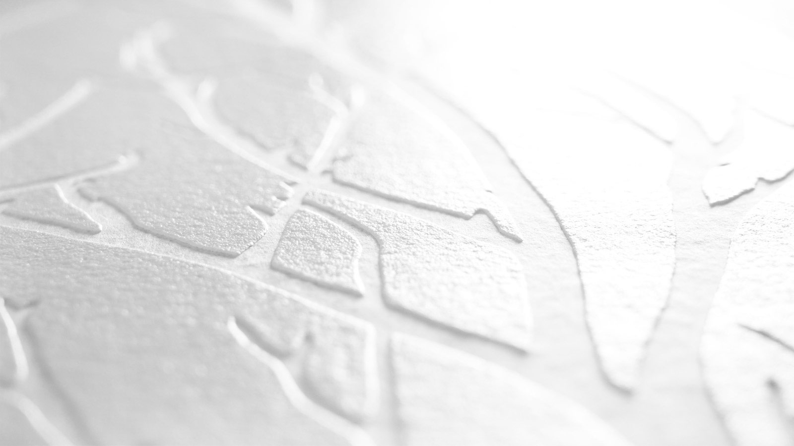 AS Vliestapete Meistervlies 8 überstreichbar 321114