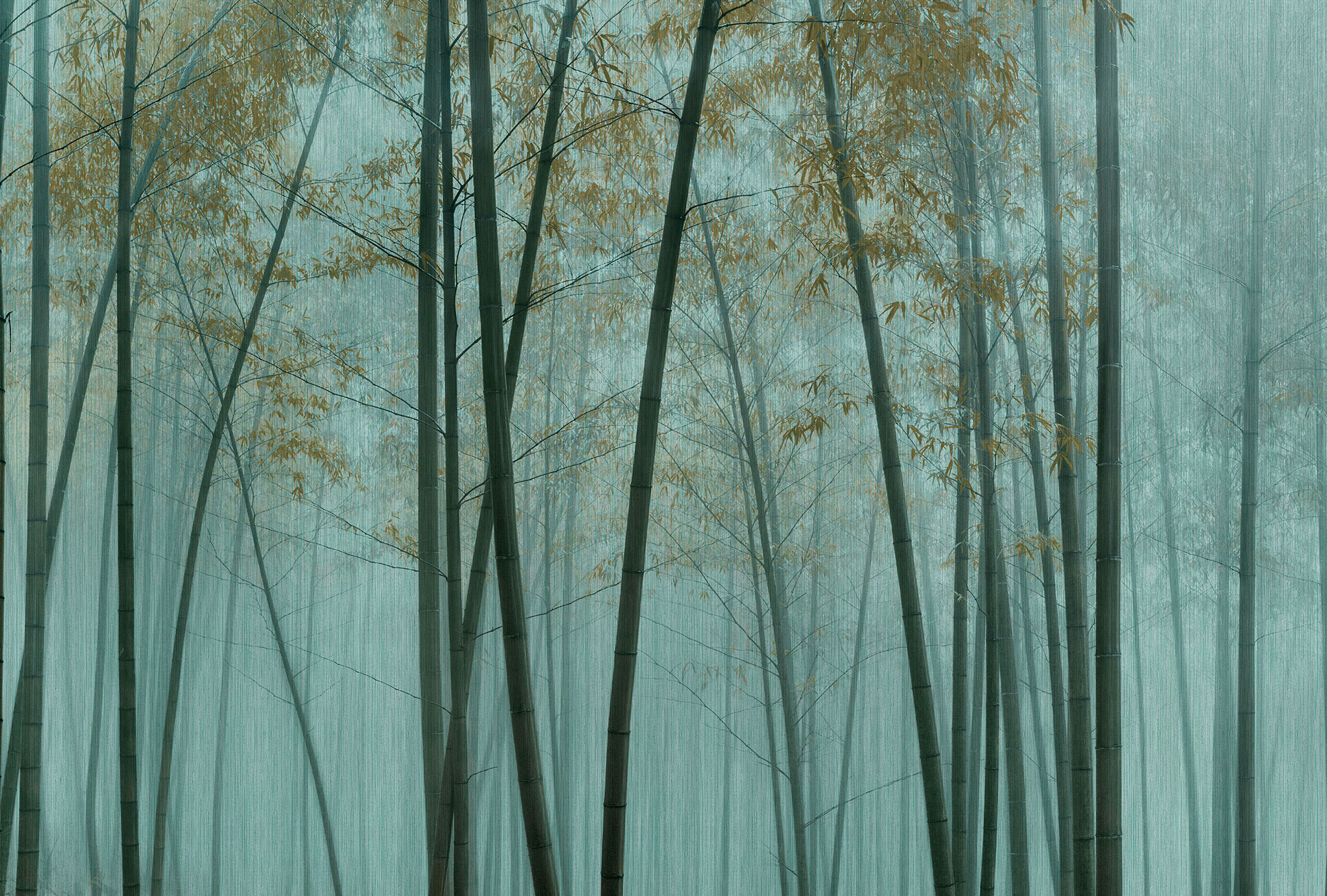 AS Fototapete Walls by Patel 3 Bambus DD122108