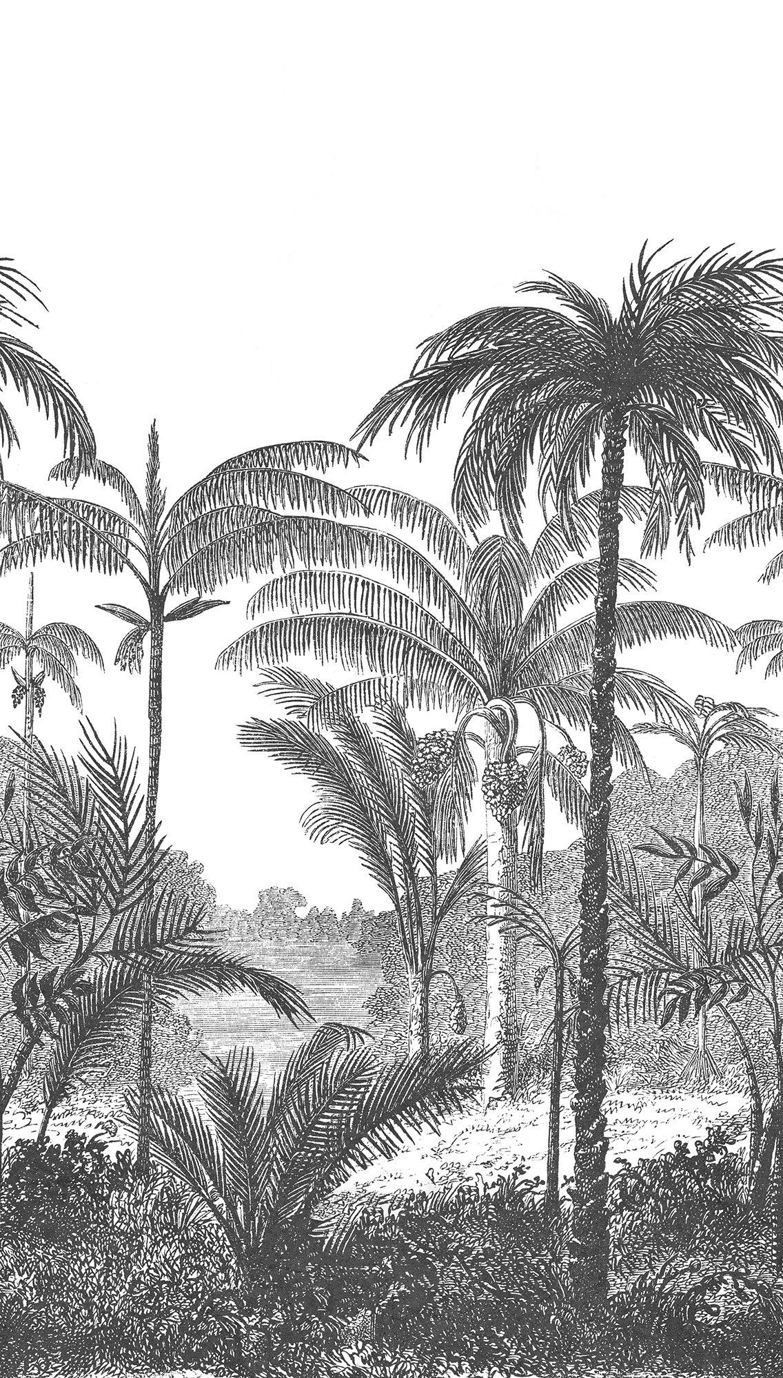 Grandeco Wandbild Eine Rolle ein Motiv 2 Palmen A58201