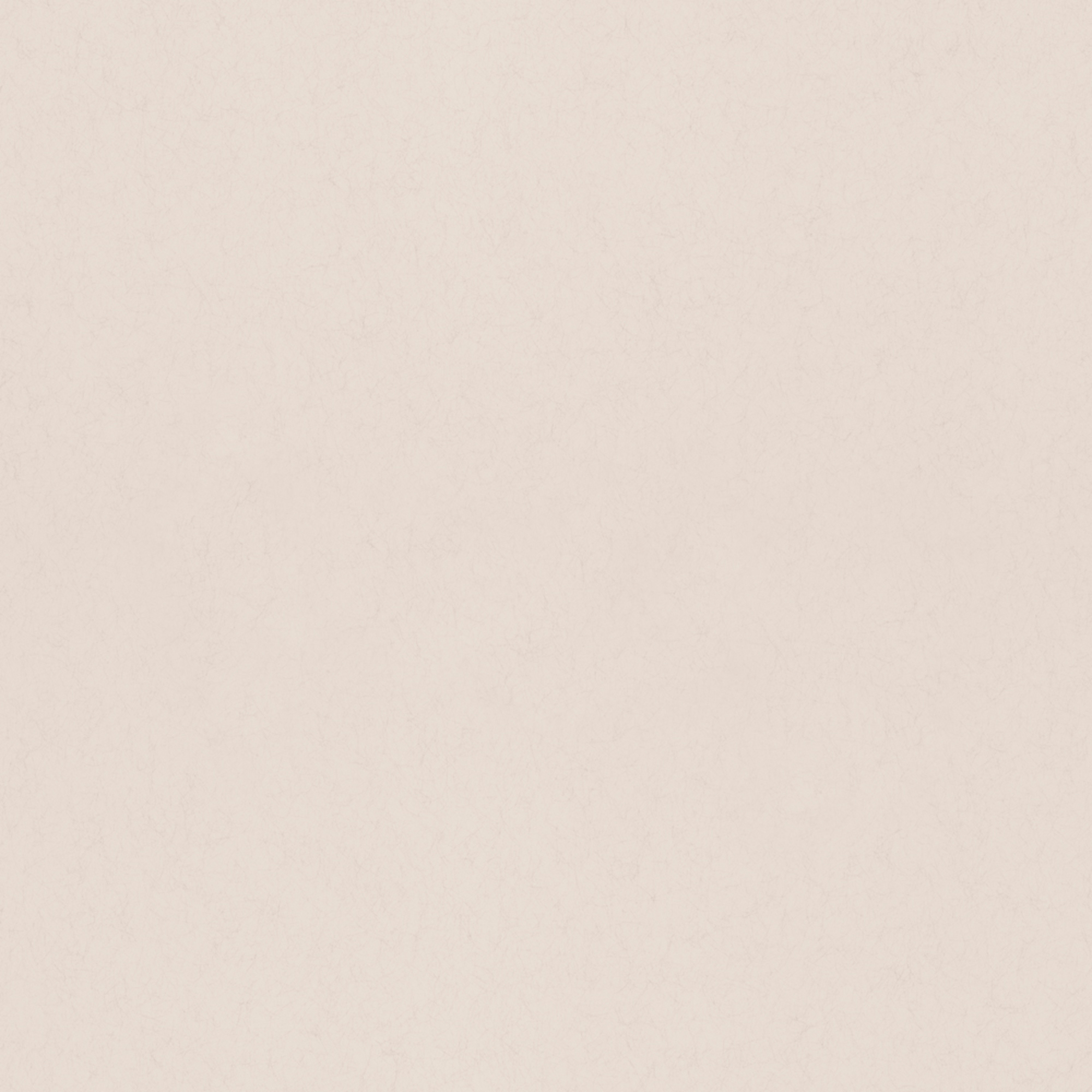 Rasch Textil Vliestapete Fagelsang Uni matt 077018 Rasch Textil Vliestapete Fagelsang Uni matt 077018