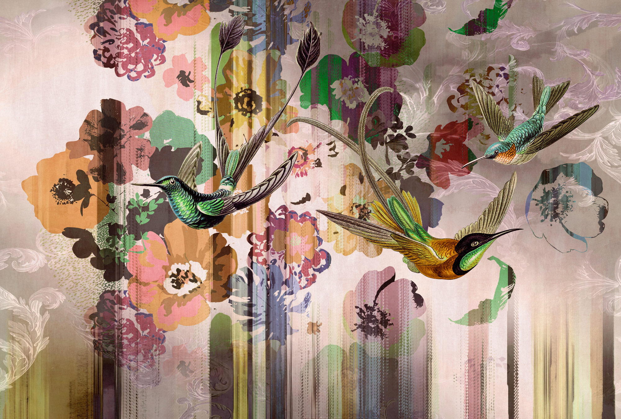 AS Fototapete Walls by Patel 5 Kolibris Rosa DD134891