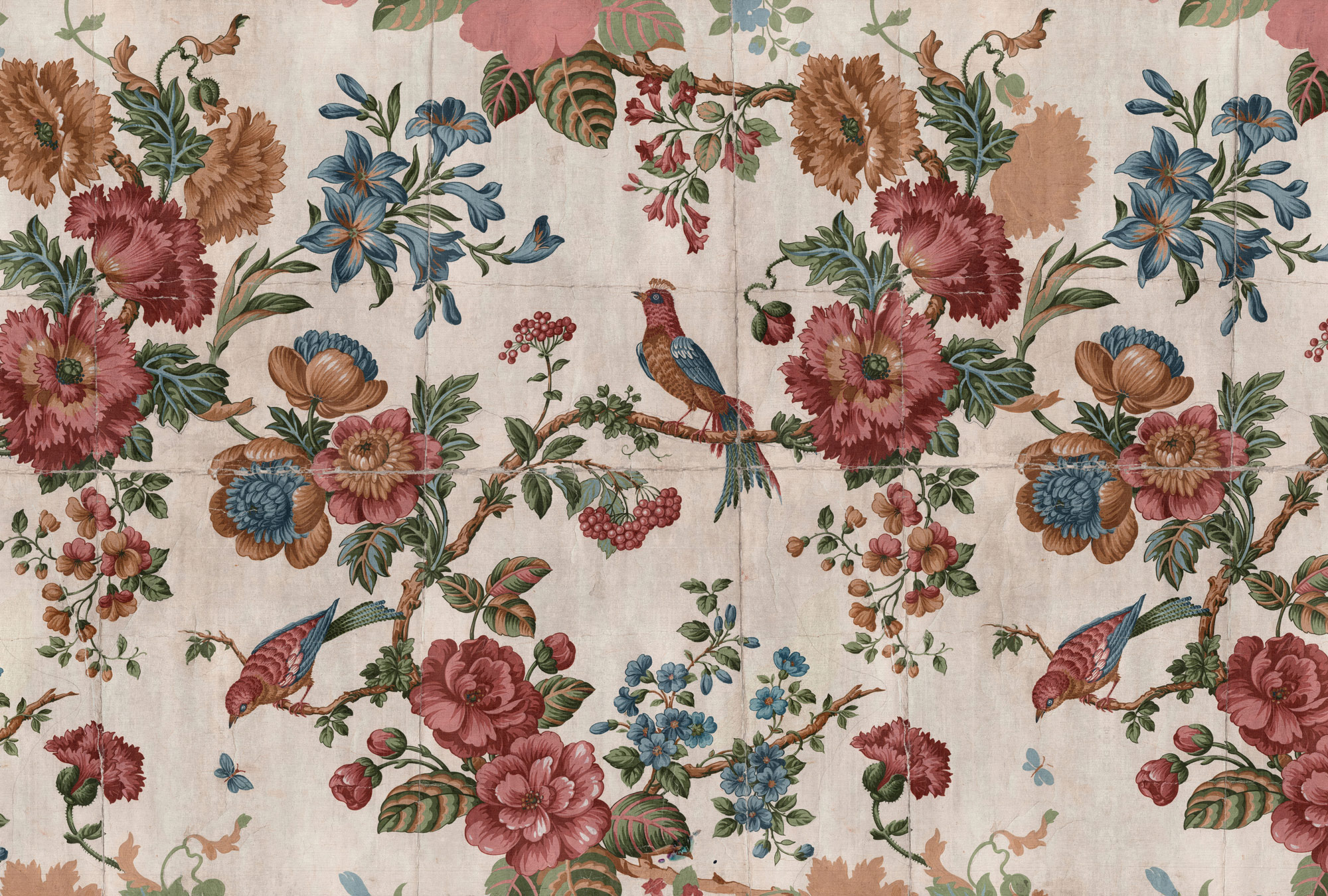 AS Fototapete Walls by Patel 5 Blumen Creme DD134561