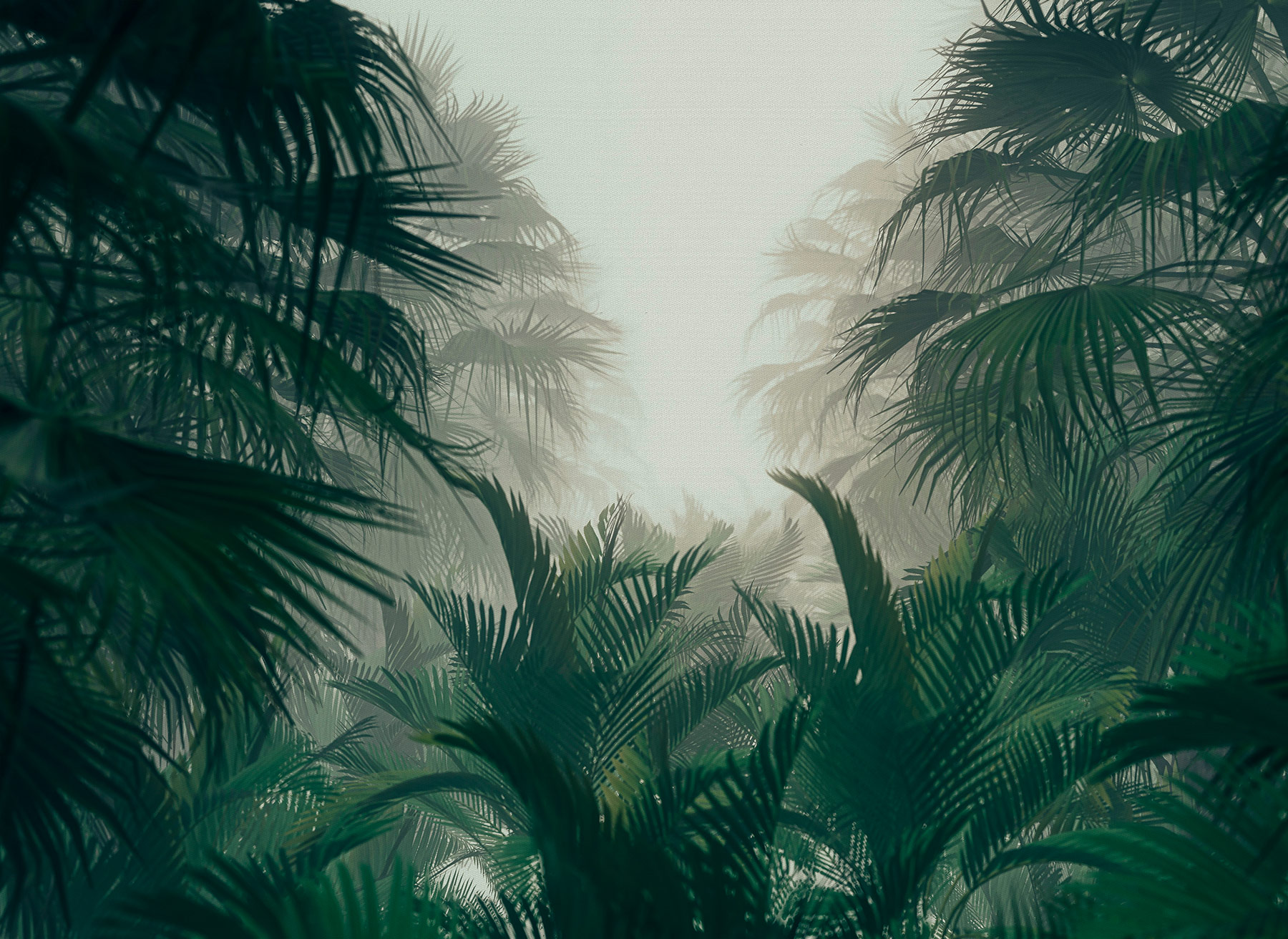 AS Fototapete Designwalls 2 Natur Pflanzen DD123486