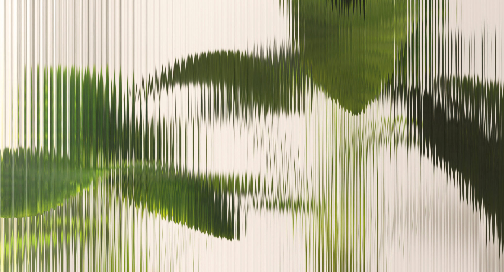 AS Fototapete Walls by Patel 5 Blätter Grün DD134969