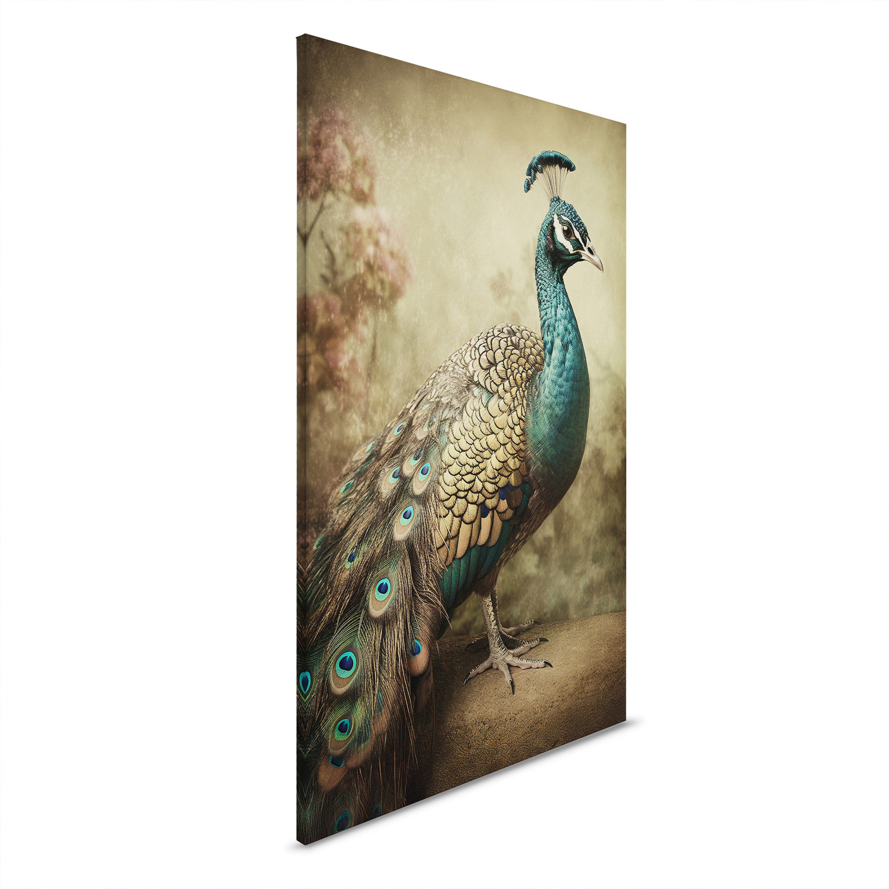 AS Leinwandbild Peacock Vintage DD133349