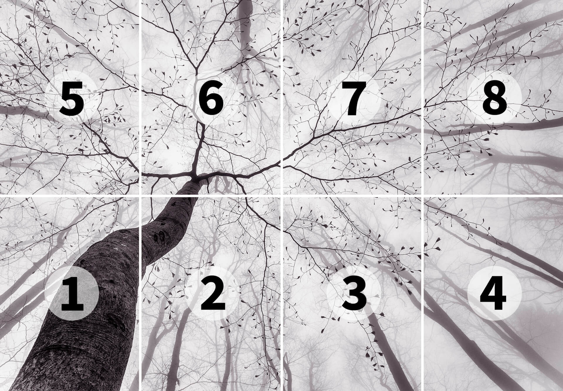 AS Fototapete Designwalls 2.0 Inside Treses DD118886