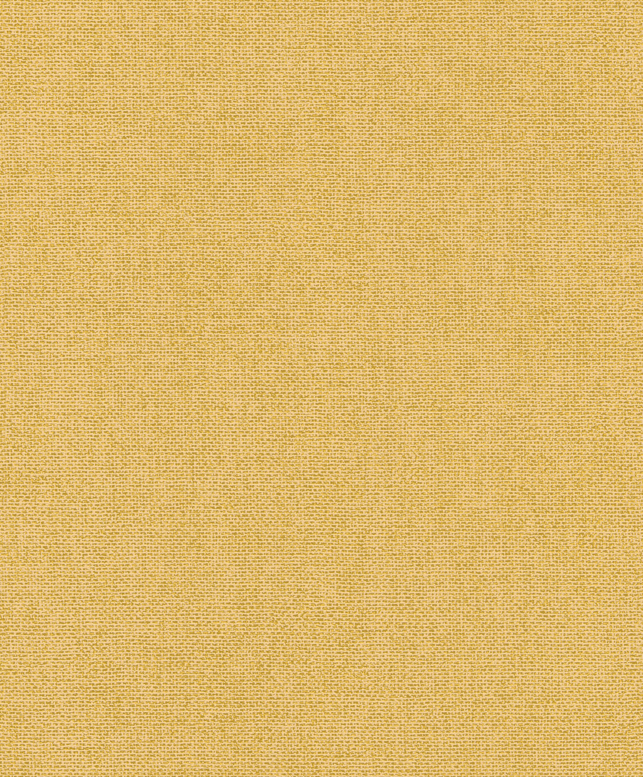 Rasch Vliestapete Color Your Life Einfarbig 312195 Rasch Vliestapete Color Your Life Einfarbig 312195