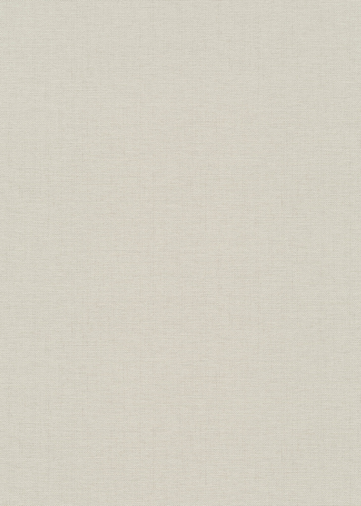 Erismann Vliestapete GMK Fashion for Walls 5 taupe 1054138
