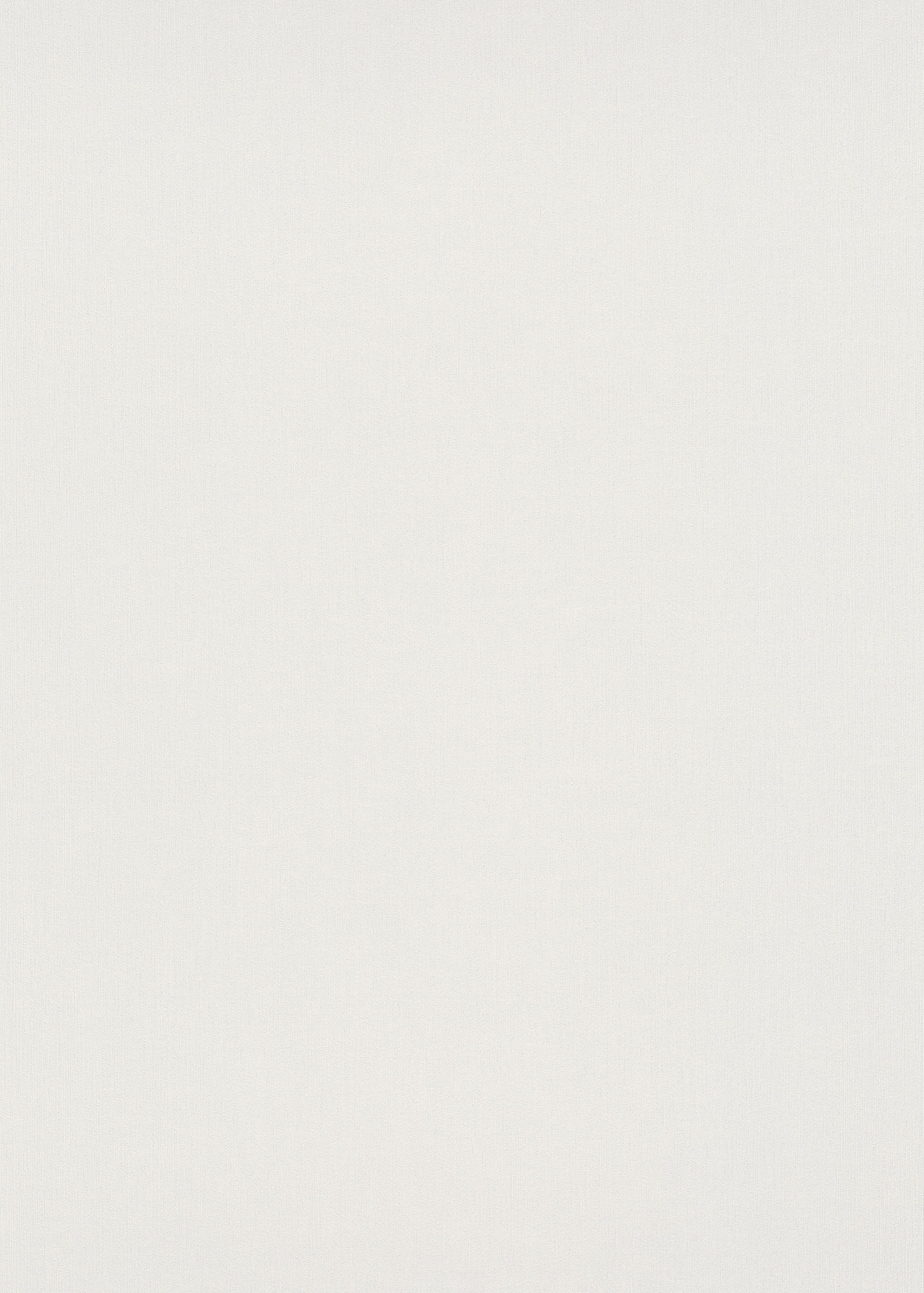 Erismann Vliestapete Spotlight 2 weiß 1043701