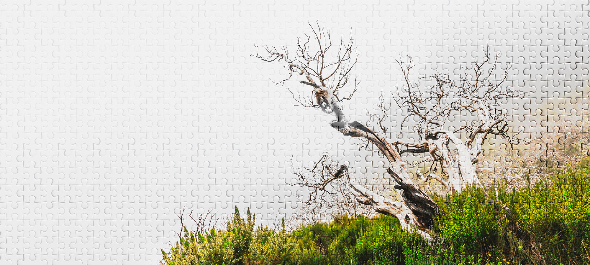 AS Fototapete Atelier 47 DeathTree DD116890