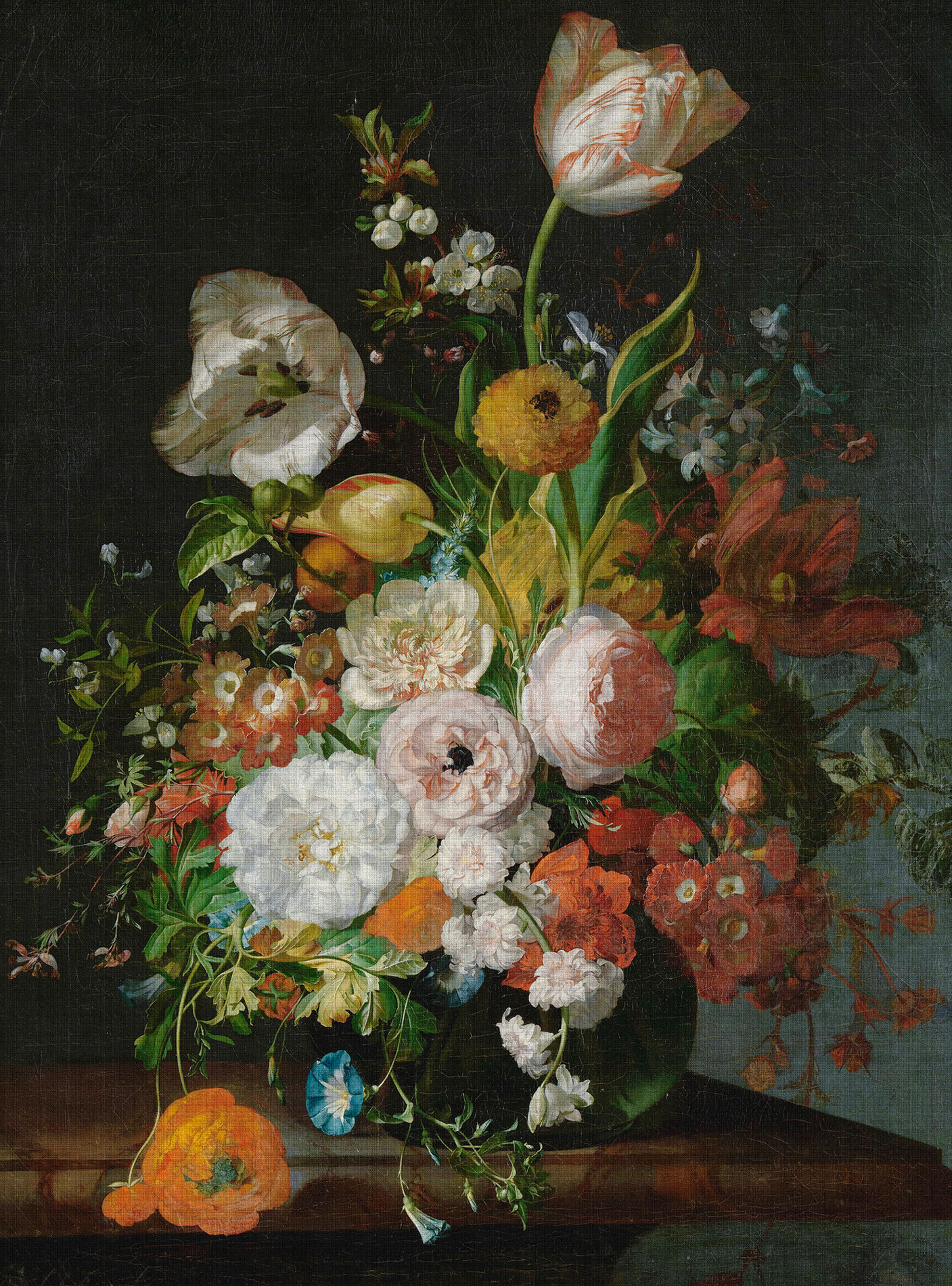 AS Fototapete Walls by Patel 3 Blumen DD122164 AS Fototapete Walls by Patel 3 Blumen DD122164