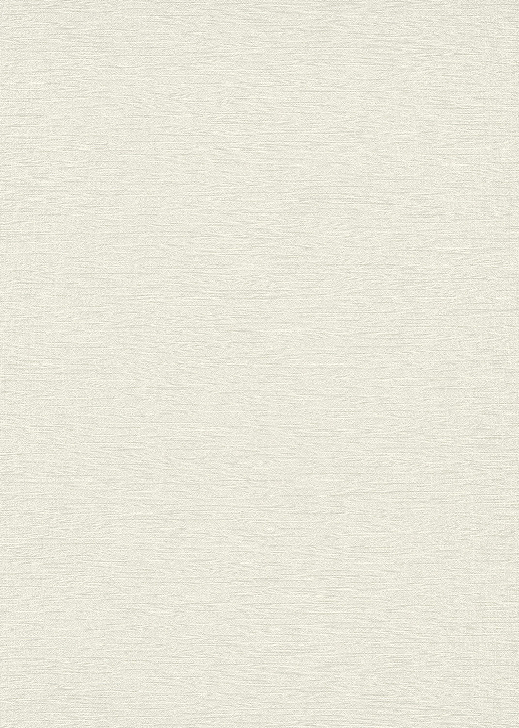 Erismann Vliestapete Spotlight Unitapete 1010814