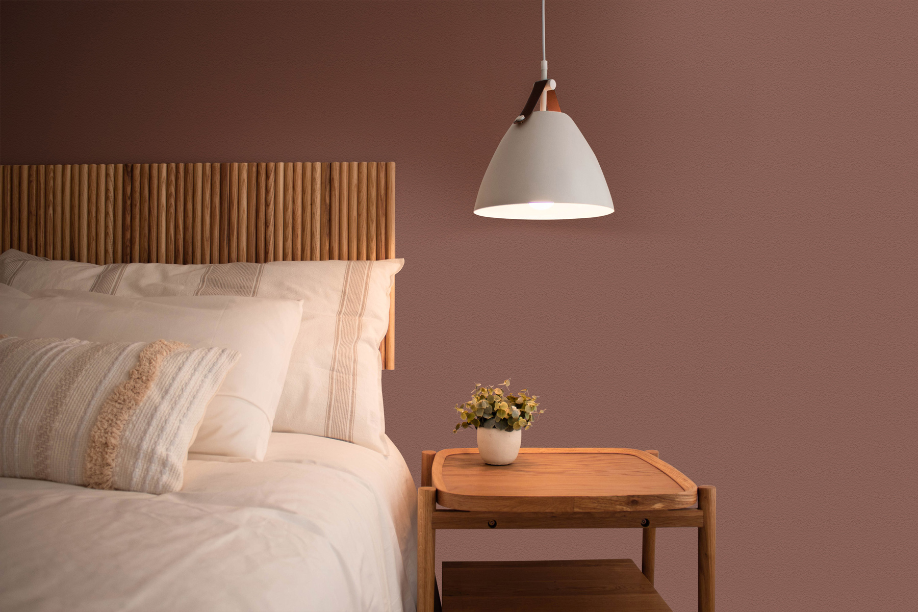 AS Wandfarbe The Color Kitchen TCK5014 Reddish Chestnut 2,5