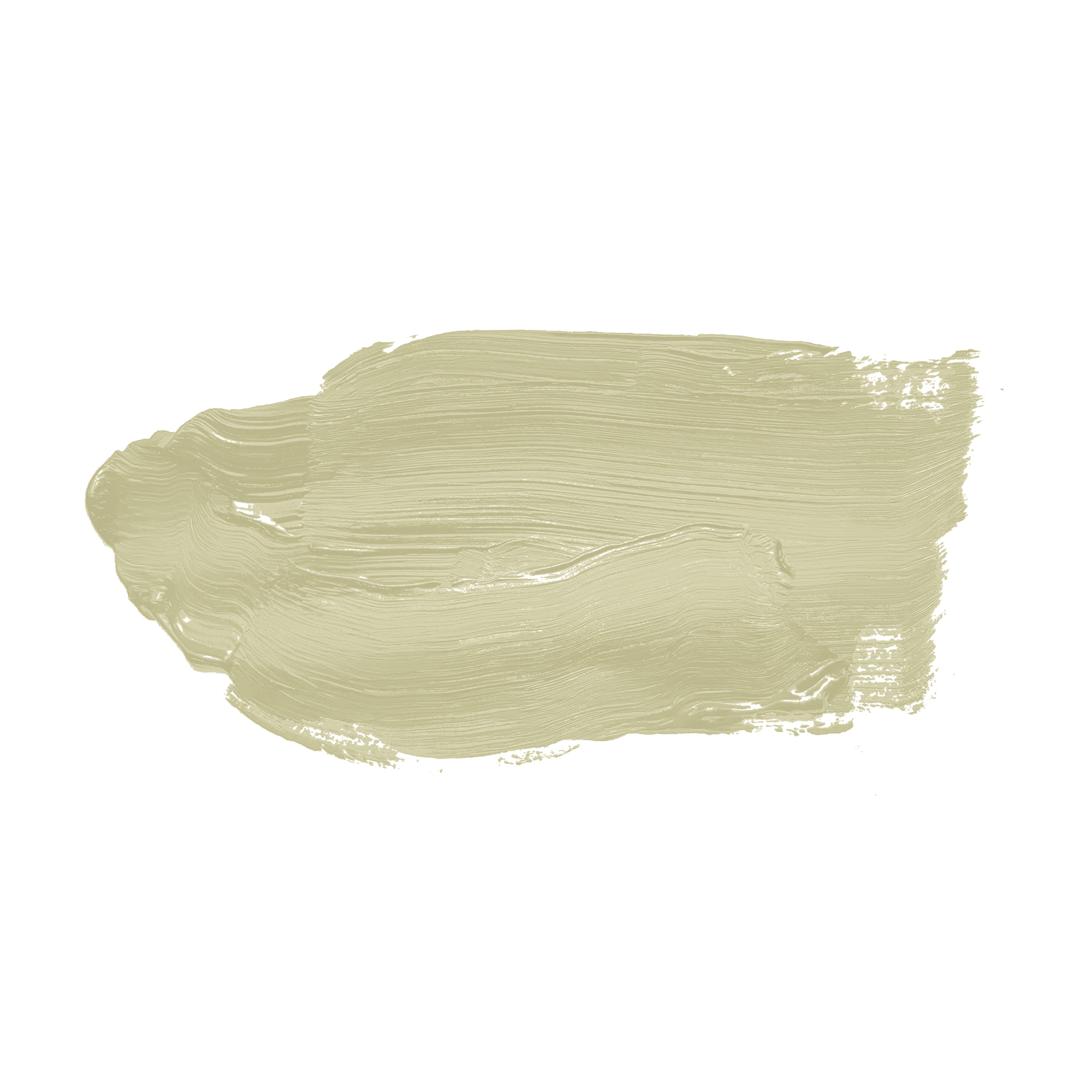 AS Wandfarbe The Color Kitchen TCK4001 Warm Wasabi 2,5 L