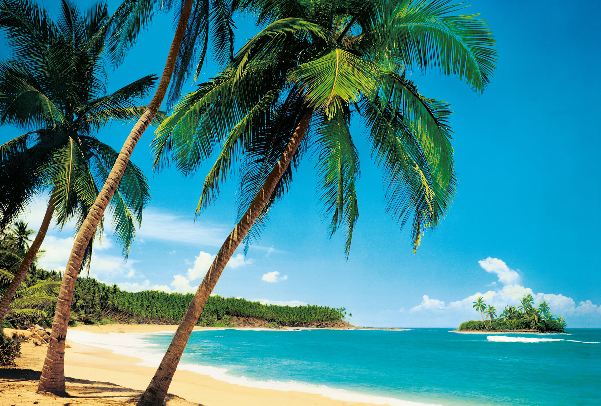 AS Fototapete Designwalls 2.0 Ile Tropicale DD119004