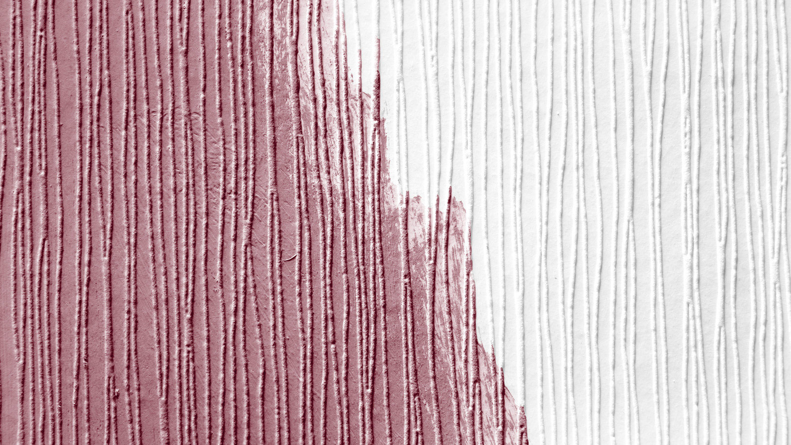 AS Vliestapete Meistervlies 8 überstreichbar 248619