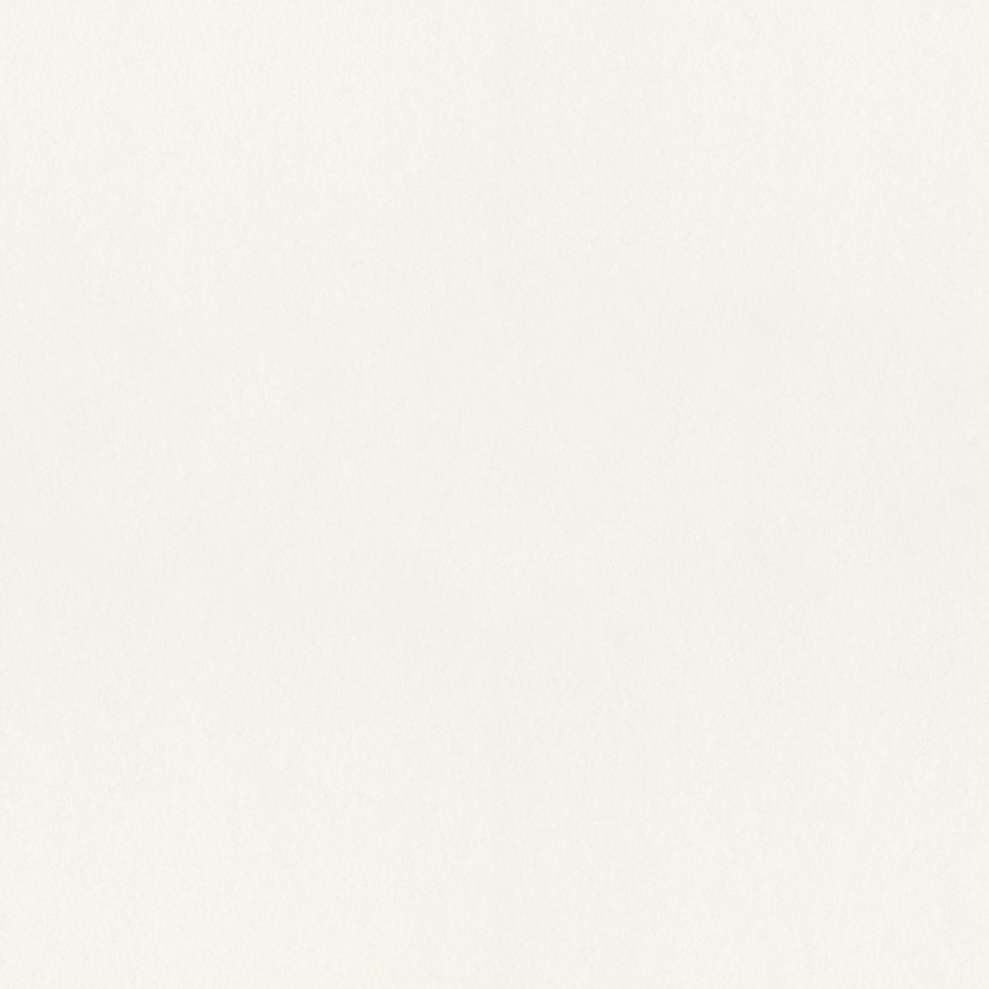 Rasch Textil Vliestapete Fagelsang Uni matt 077012 Rasch Textil Vliestapete Fagelsang Uni matt 077012