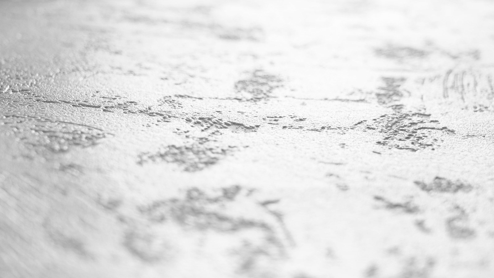 AS Vliestapete Meistervlies 8 überstreichbar 520210