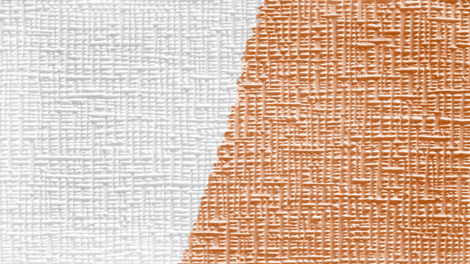 AS Vliestapete Meistervlies 8 überstreichbar 251213