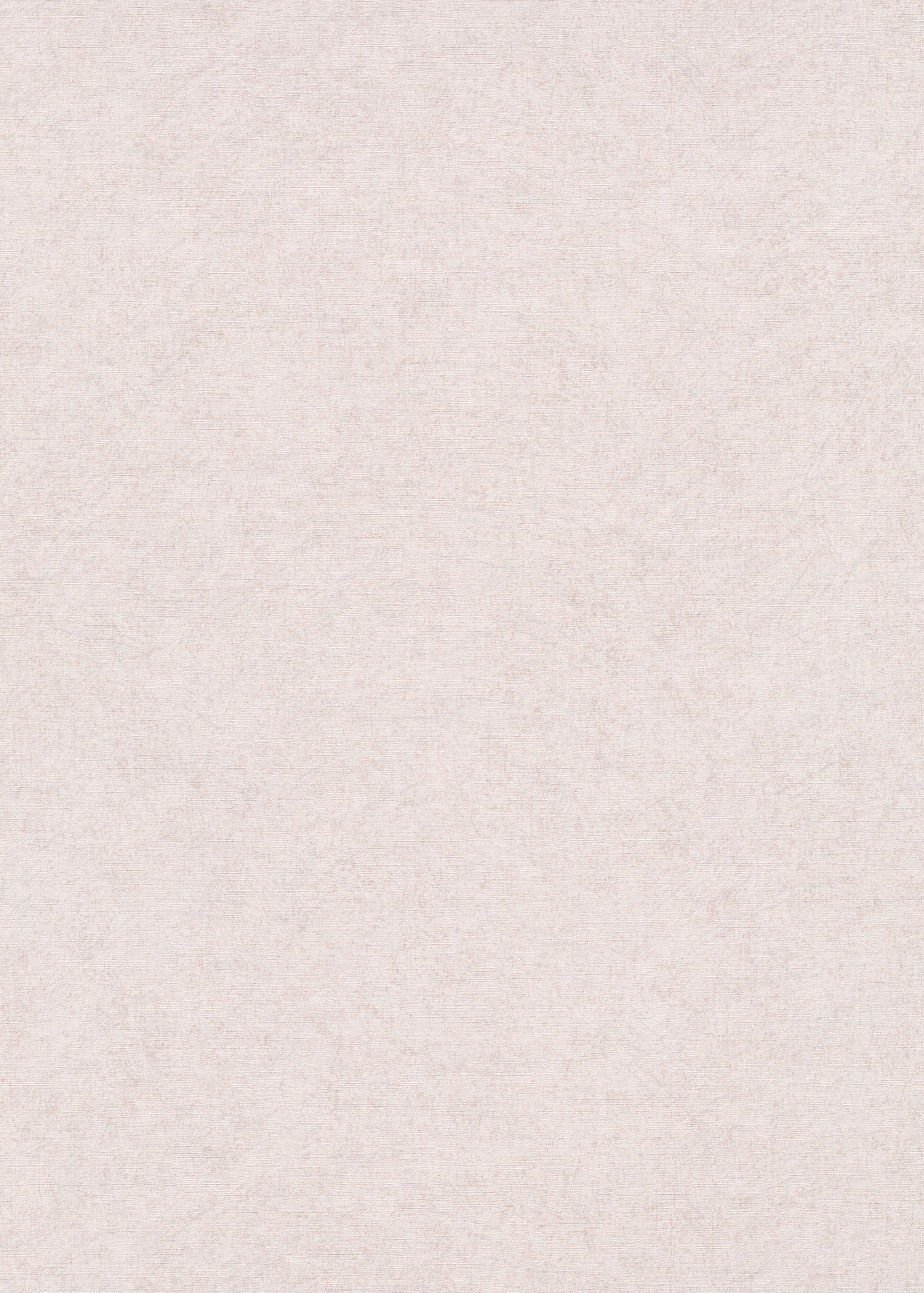 Erismann Vliestapete Gentle 1043414