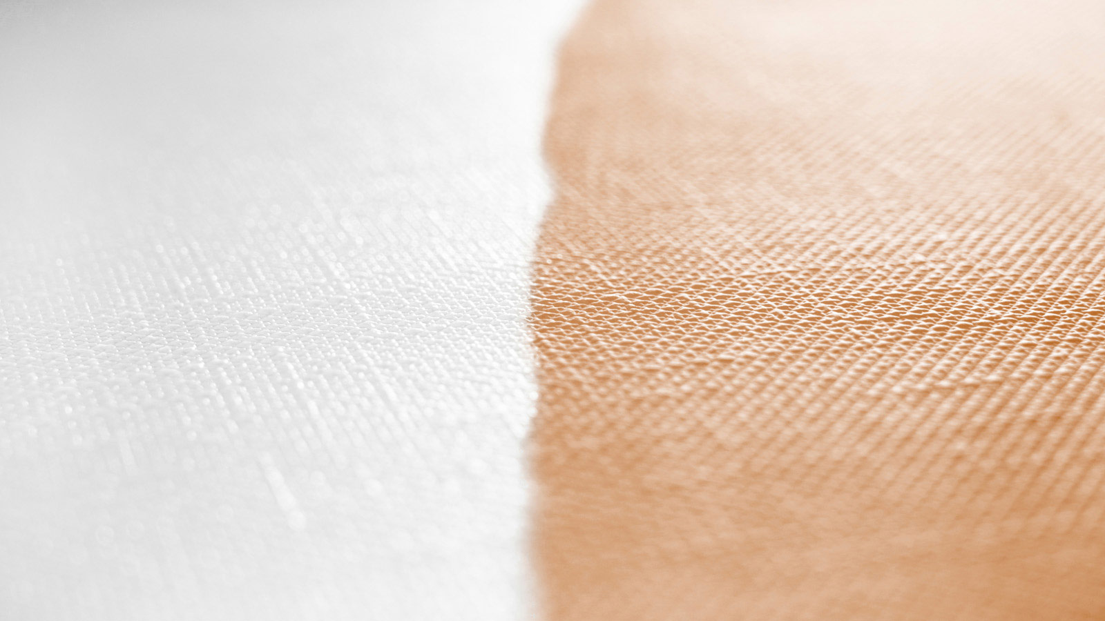 AS Vliestapete Meistervlies 8 überstreichbar 323613