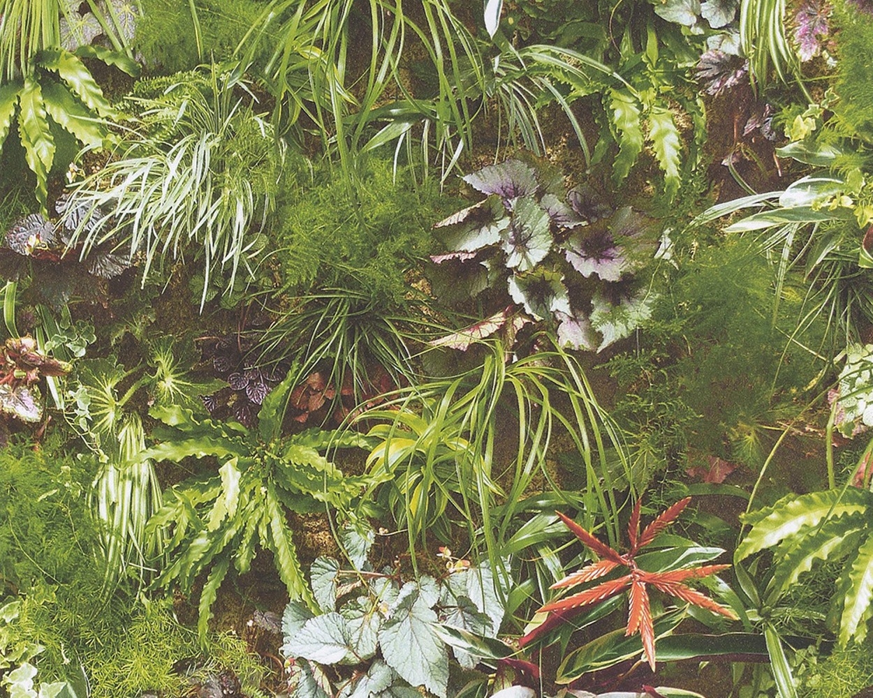 AS Creation Vliestapete Authentic Walls grün 924513