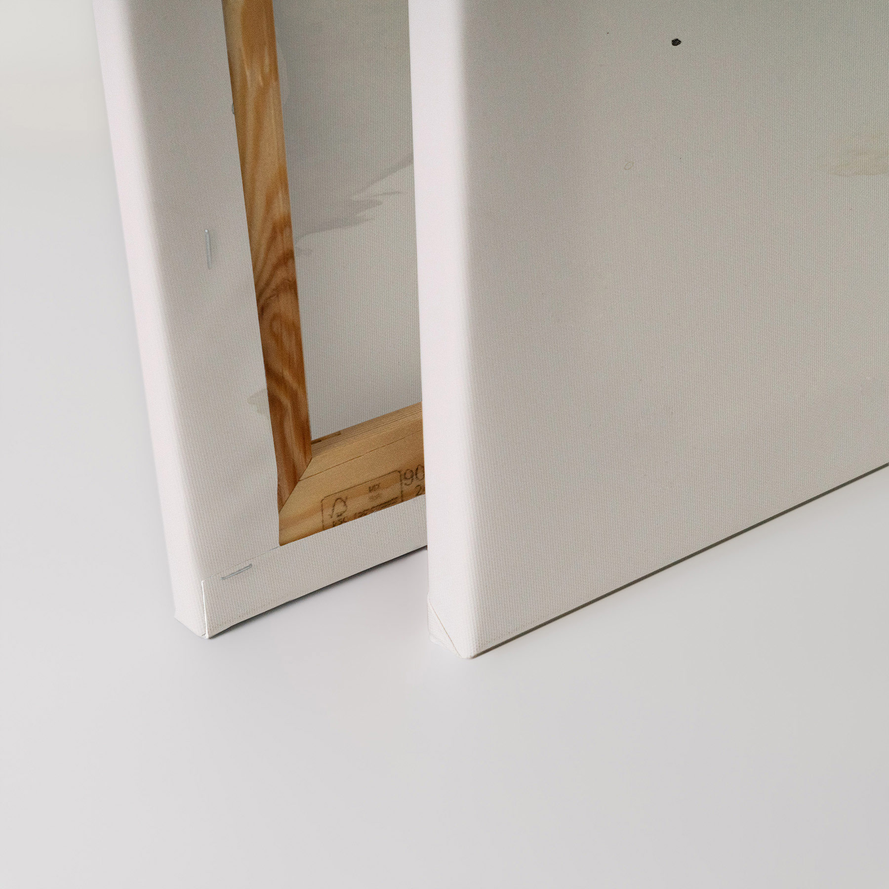 AS Leinwandbild Cute Raccoon Orange DD133286