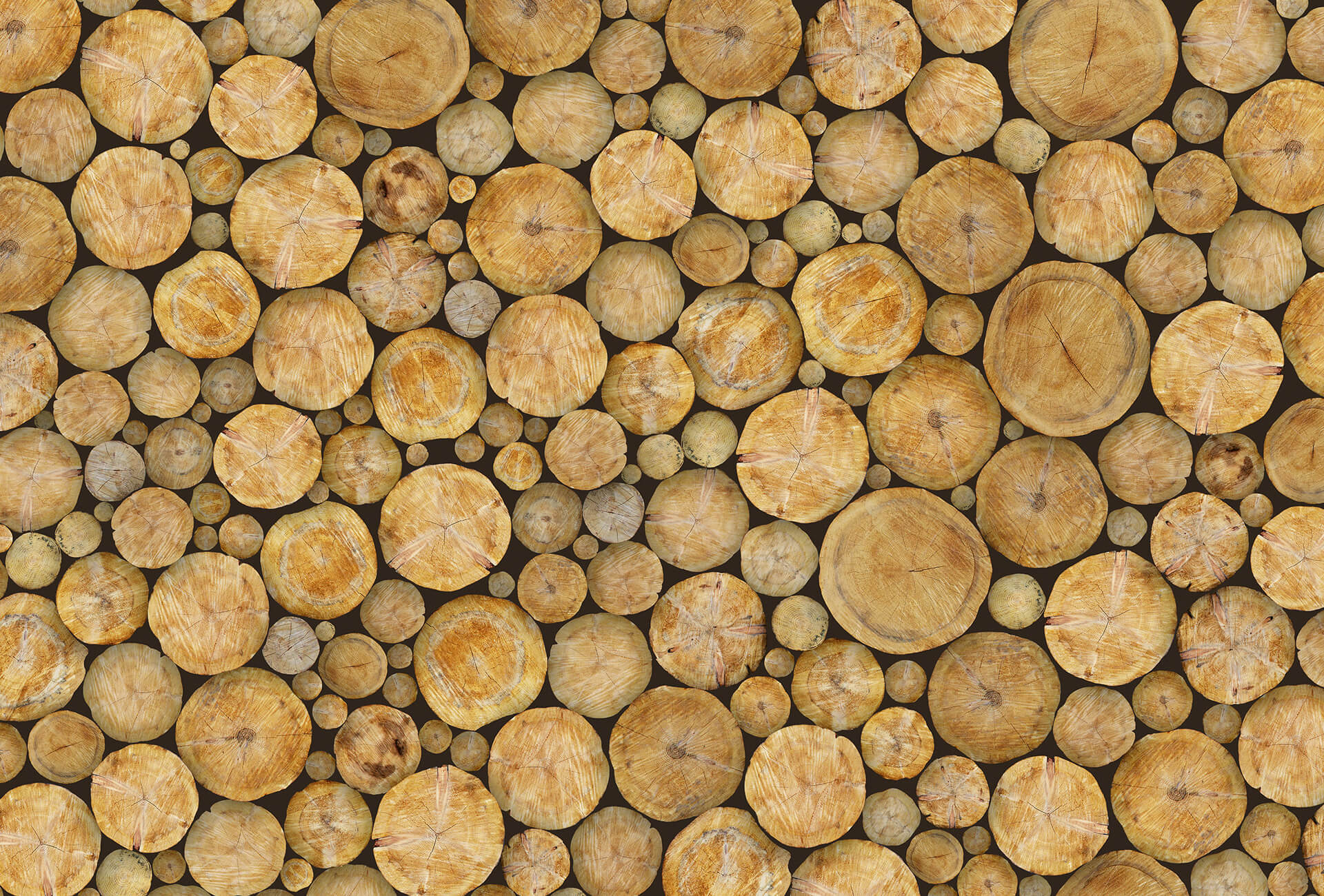 AS Fototapete Designwalls 2.0  Logs Holzoptik DD118975