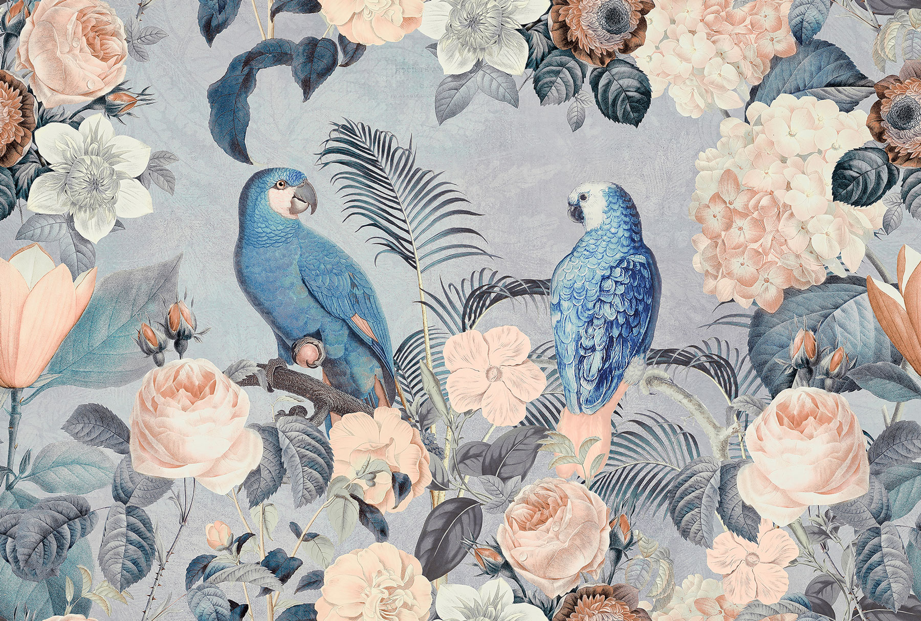 AS Fototapete ARTist Vögel DD119685