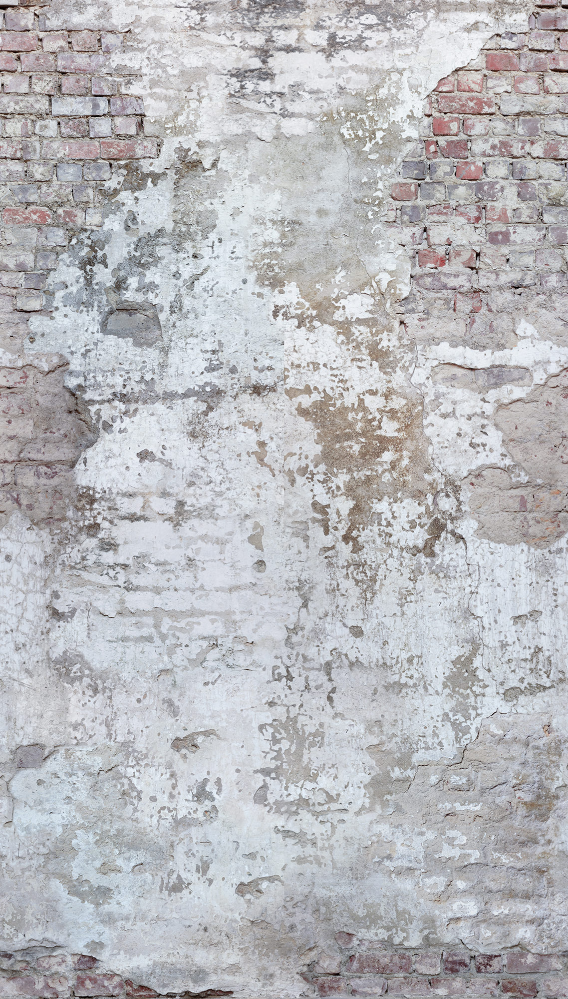 Grandeco Wandbild Eine Rolle ein Motiv 2 Steinmauer A42301