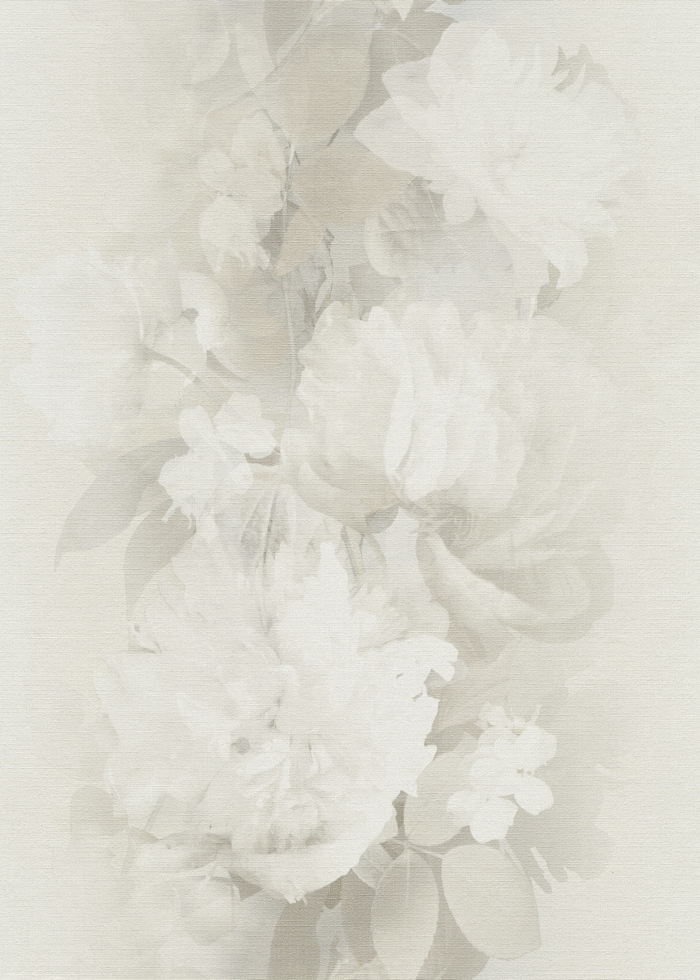 Erismann Vliestapete Aurora Blumentapete 1051302