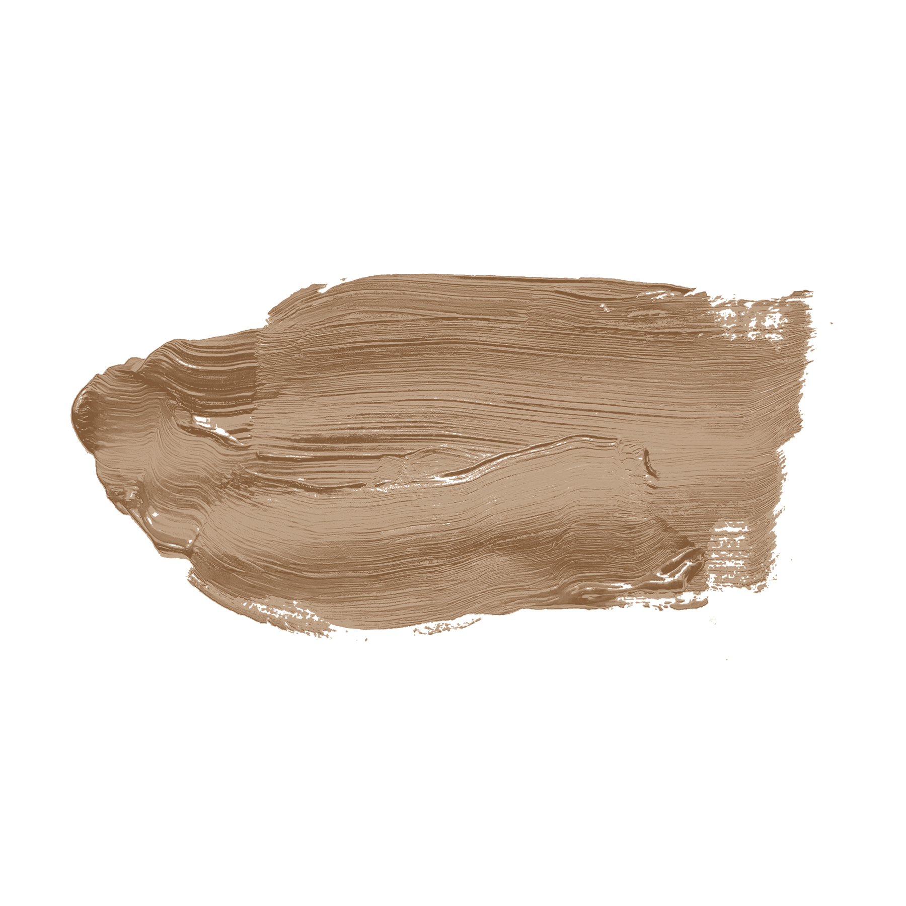 AS Wandfarbe The Color Kitchen TCK6006 Certain Cinnamon 2,5