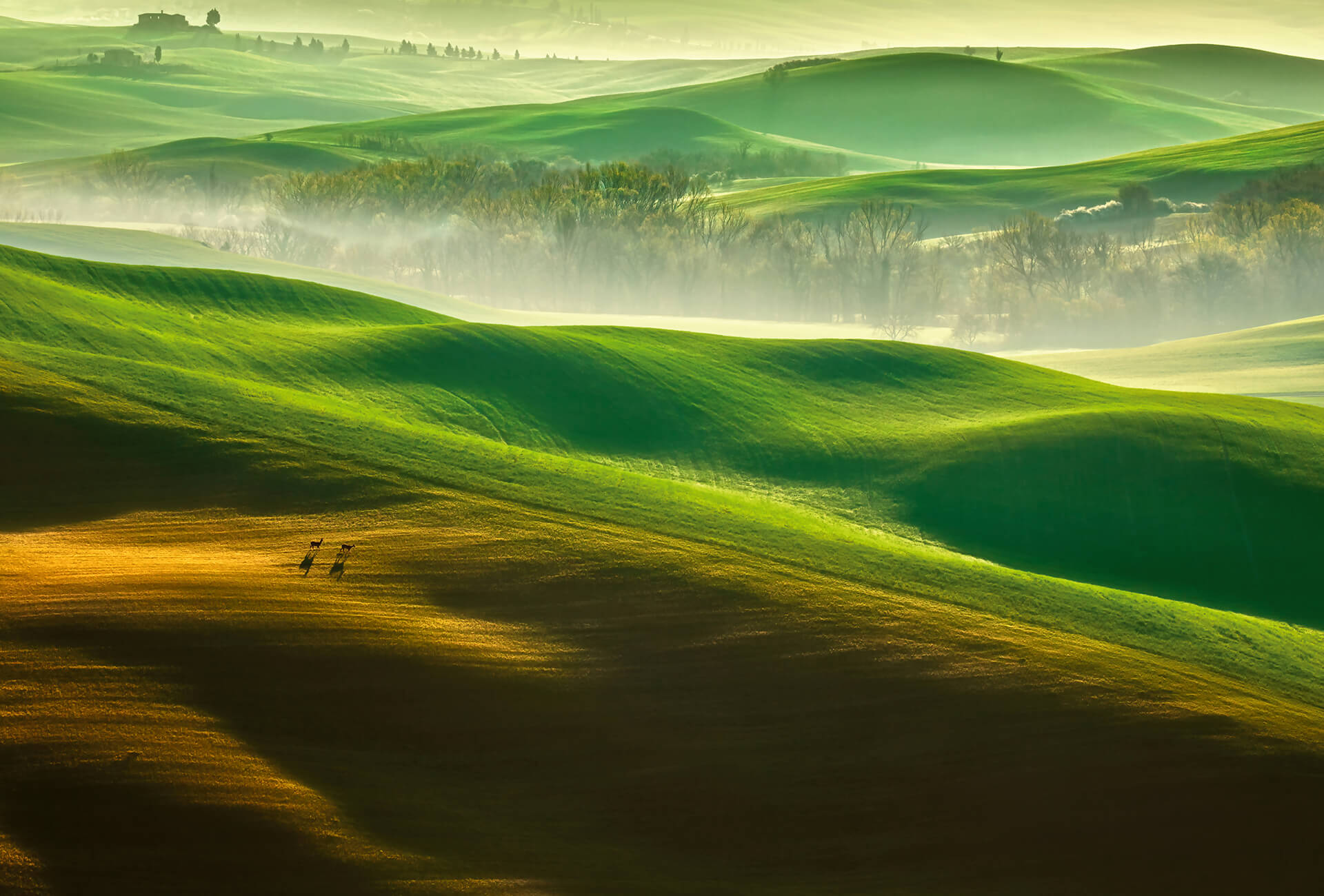 AS Fototapete Designwalls 2.0 Hills DD118916