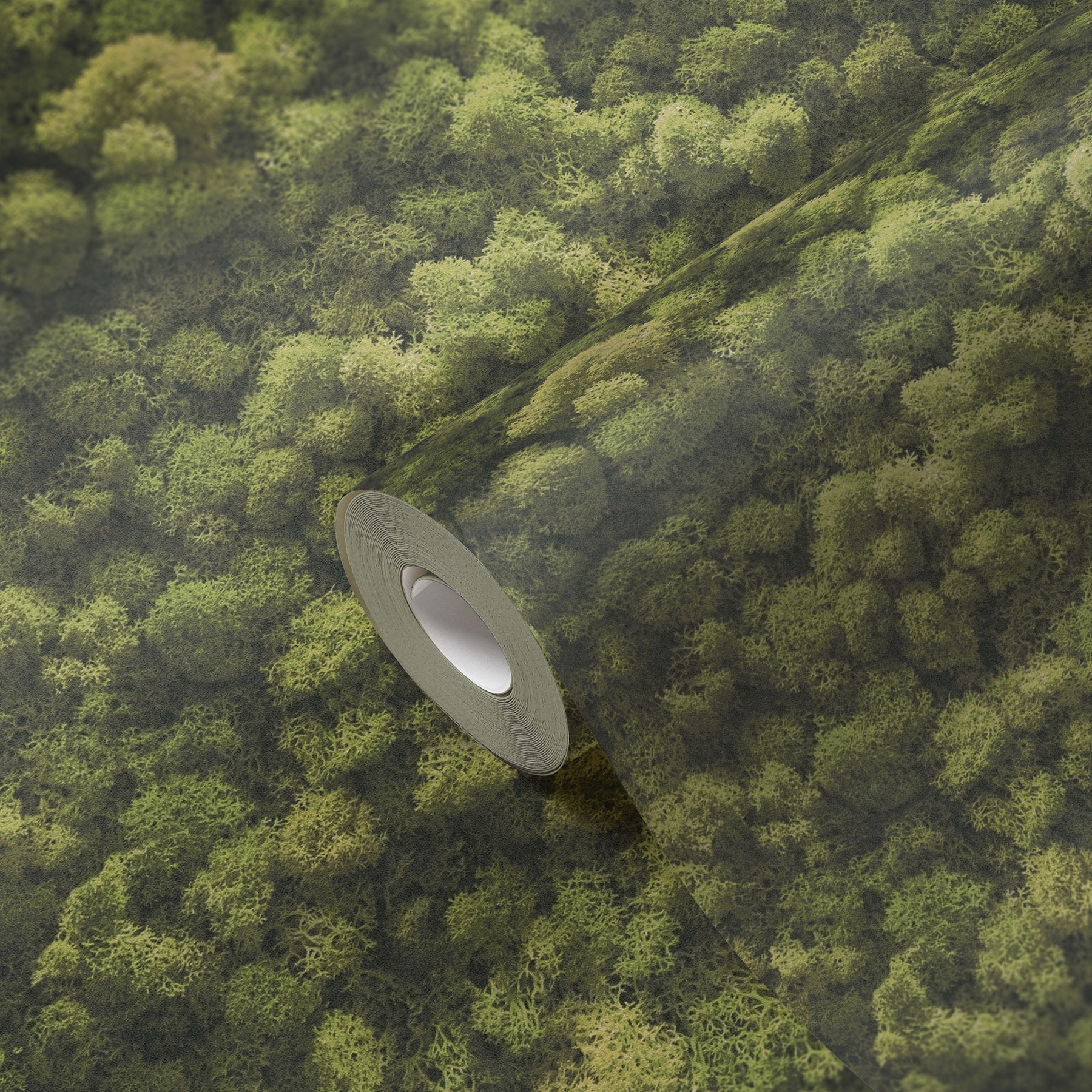 AS Vliestapete PintWalls II Mooswand Grün 394051