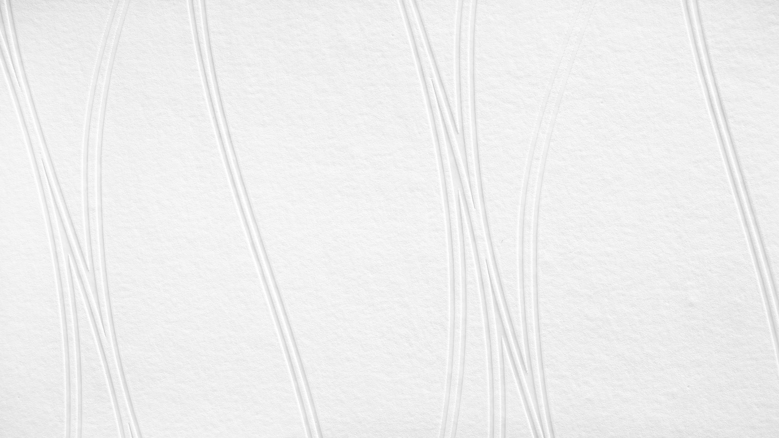 AS Vliestapete Meistervlies 8 überstreichbar 245014 AS Vliestapete Meistervlies 8 überstreichbar 245014