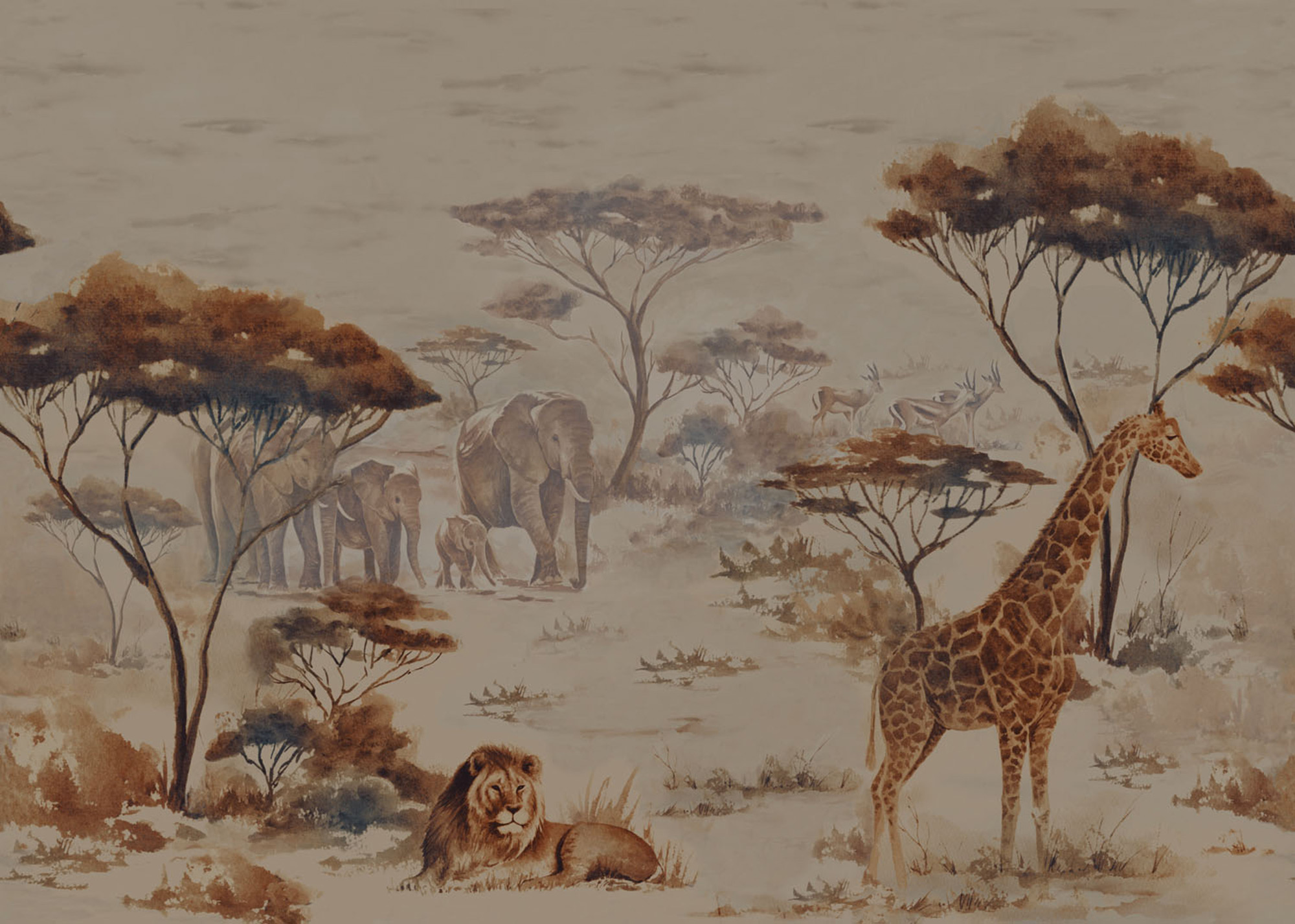 Rasch Wandbild Fototapete African Queen 3 Zebra 363692