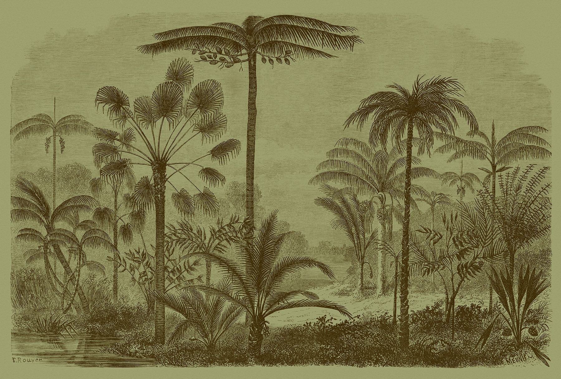 AS Fototapete Walls by Patel 2 Dschungel DD113687 AS Fototapete Walls by Patel 2 Dschungel DD113687