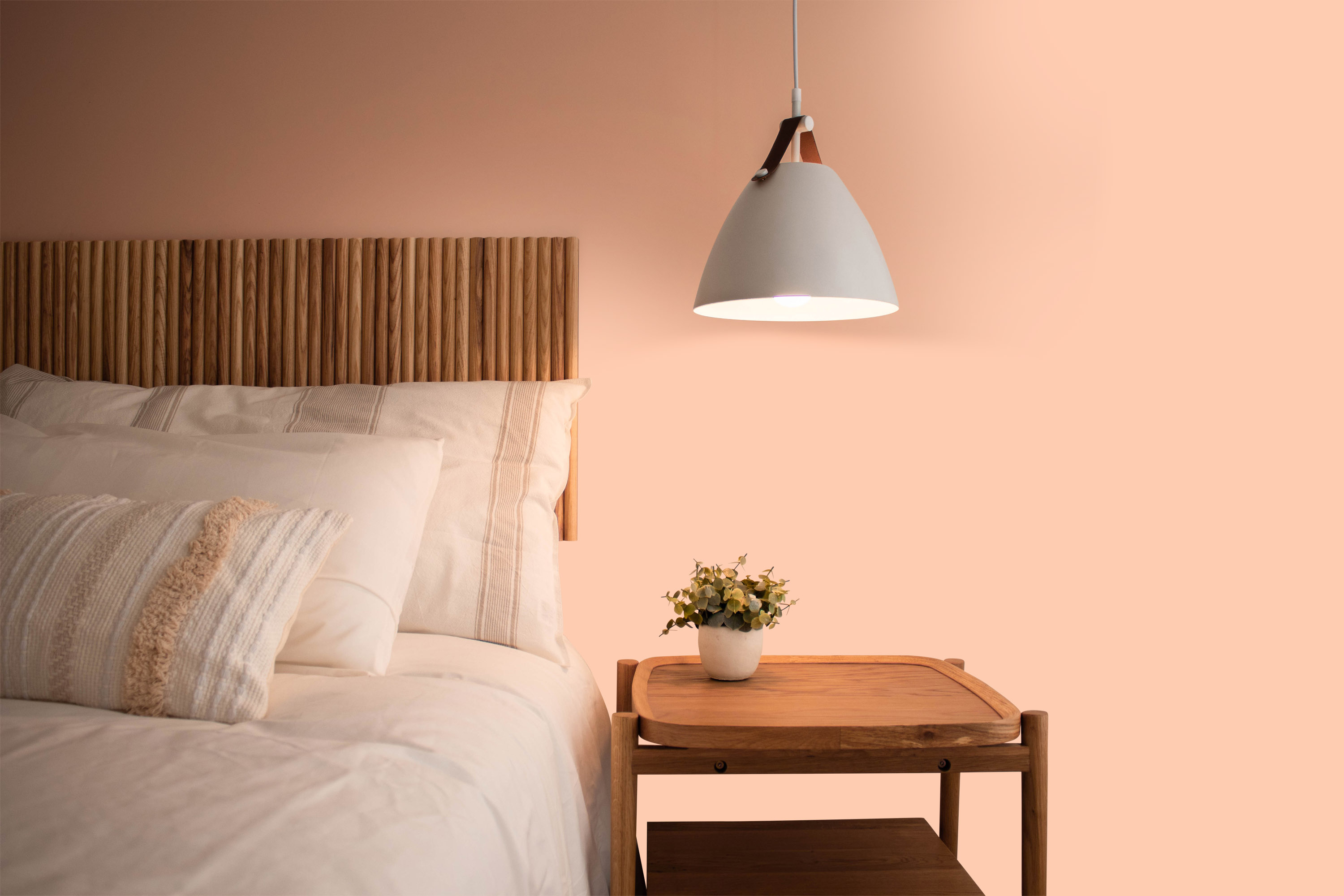 AS Wandfarbe The Color Kitchen TCK6022 Honeydew Melon 2,5 L