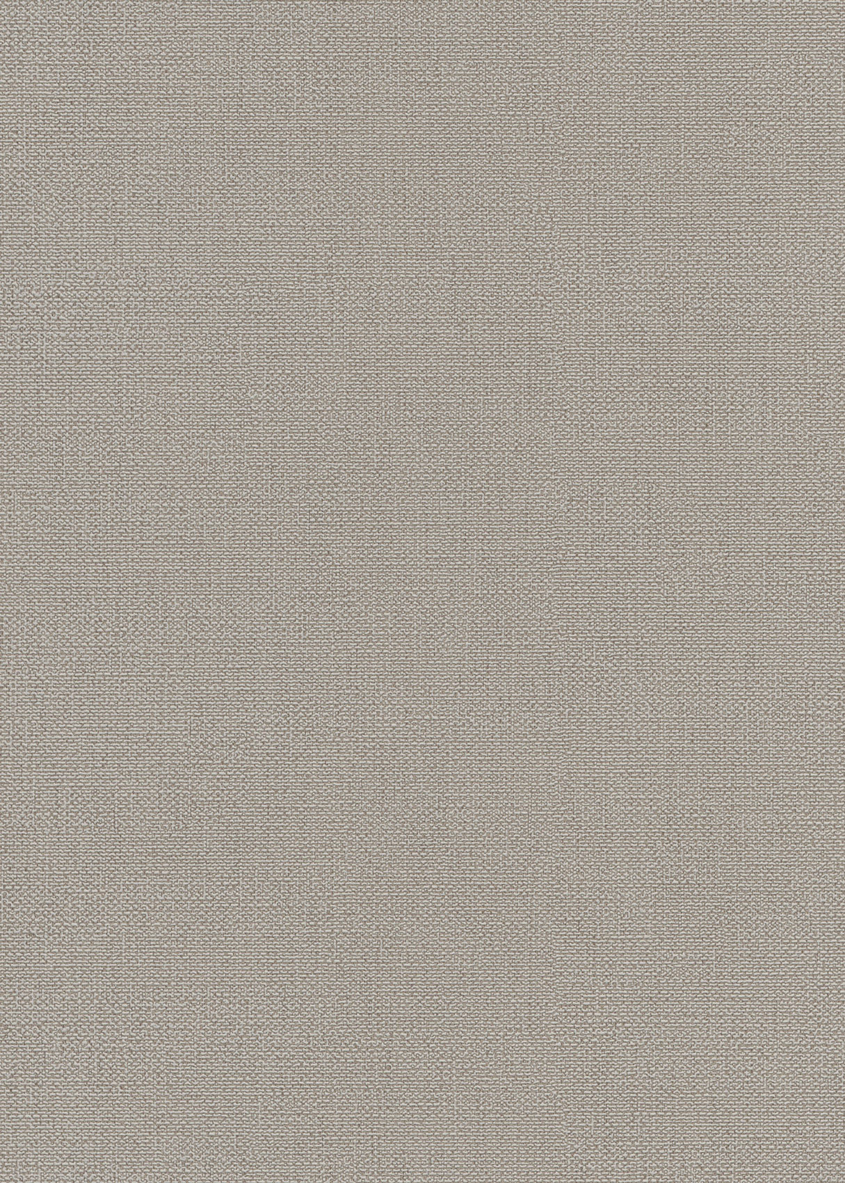 Erismann Vliestapete Opus beige 1046302