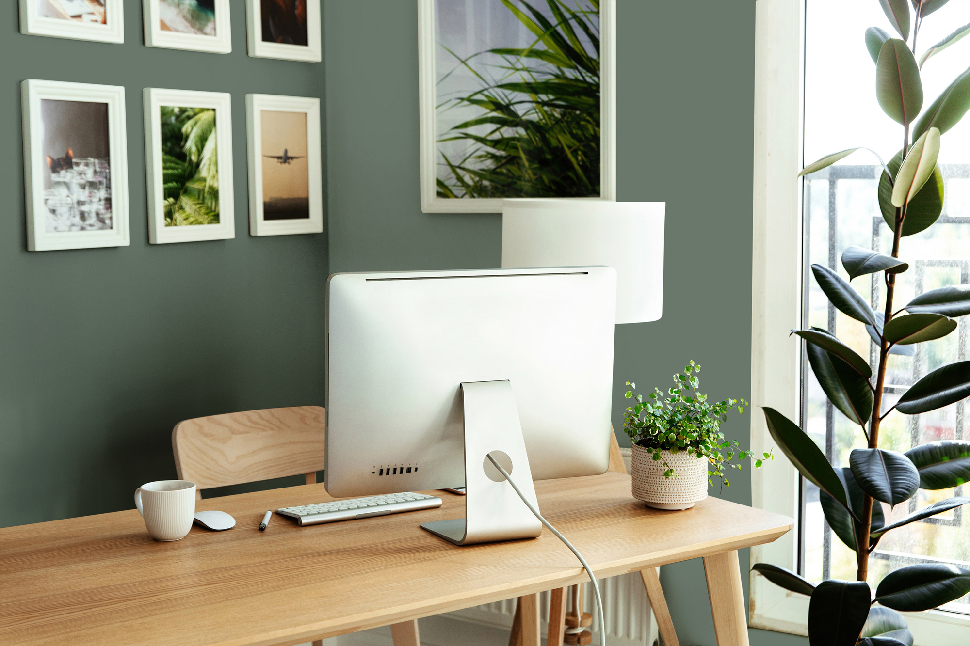 AS Wandfarbe The Color Kitchen TCK4005 Ritzy Rosemary 2,5 L